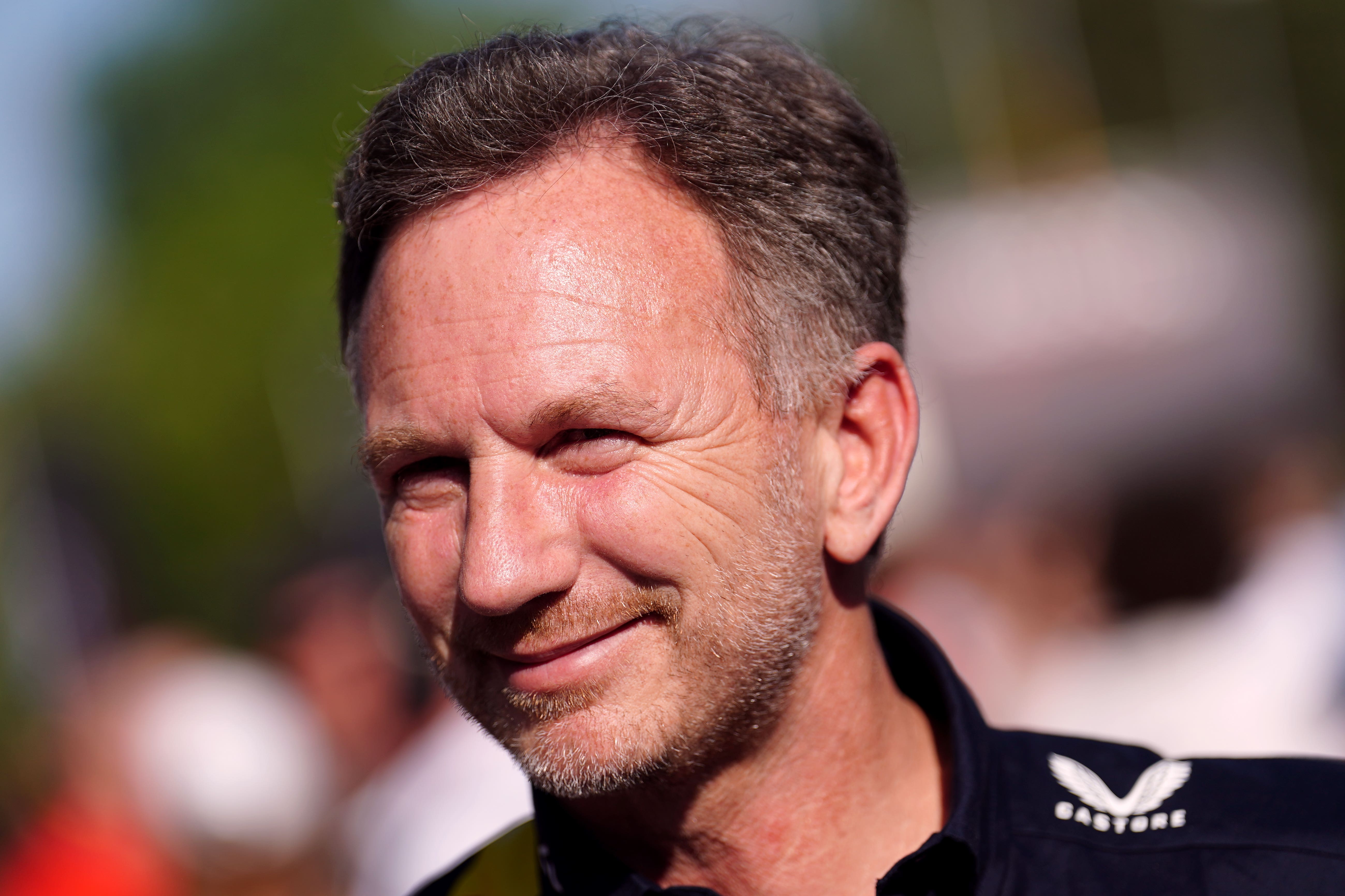 Christian Horner is ready for a title fight (David Davies/PA)