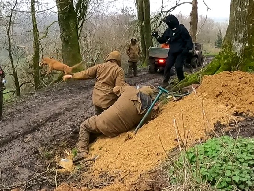 The terrier men toss away the fox just pulled from the sett