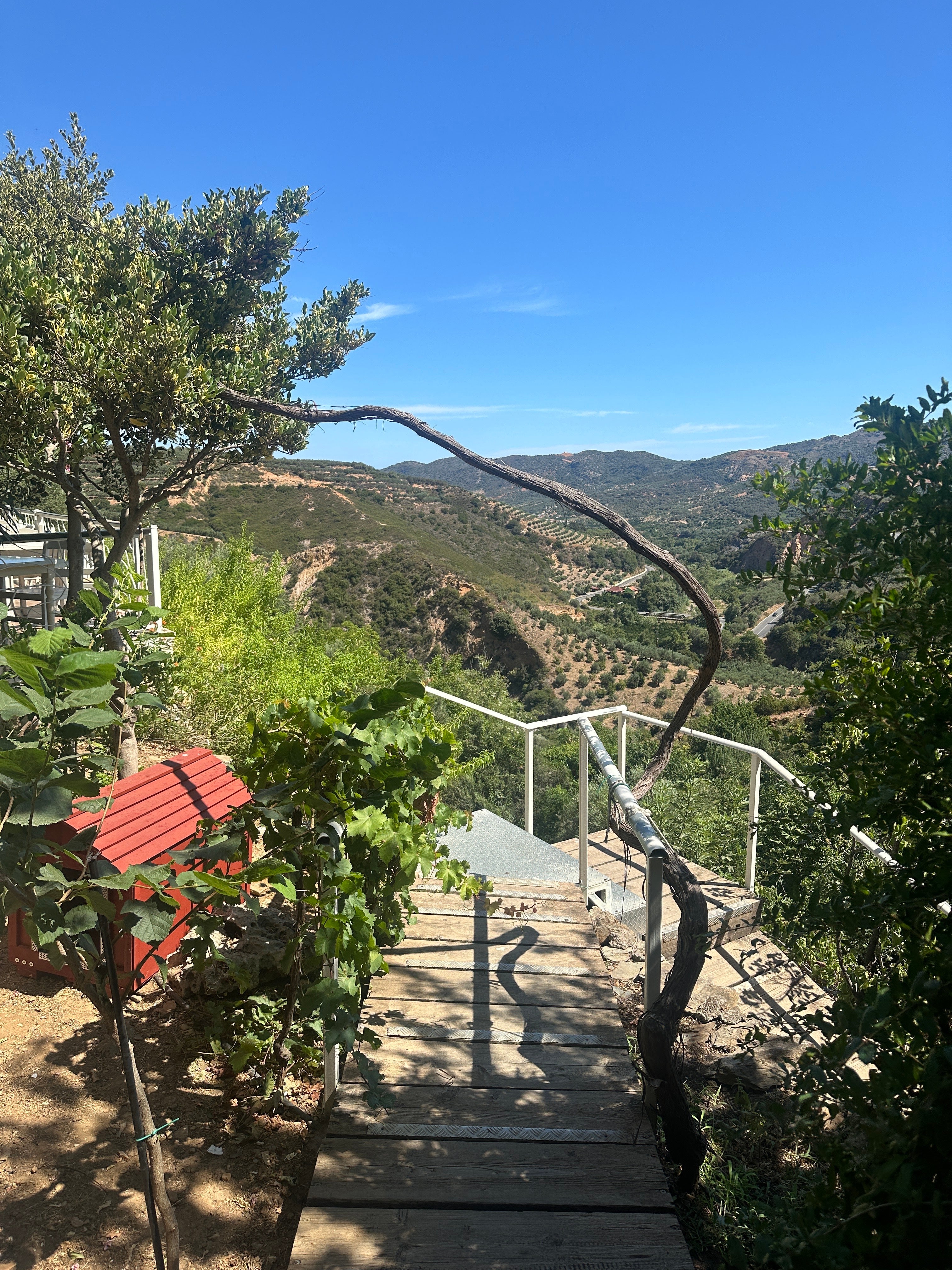 A visit to the Botanical Gardens of Crete was a highlight of the trip