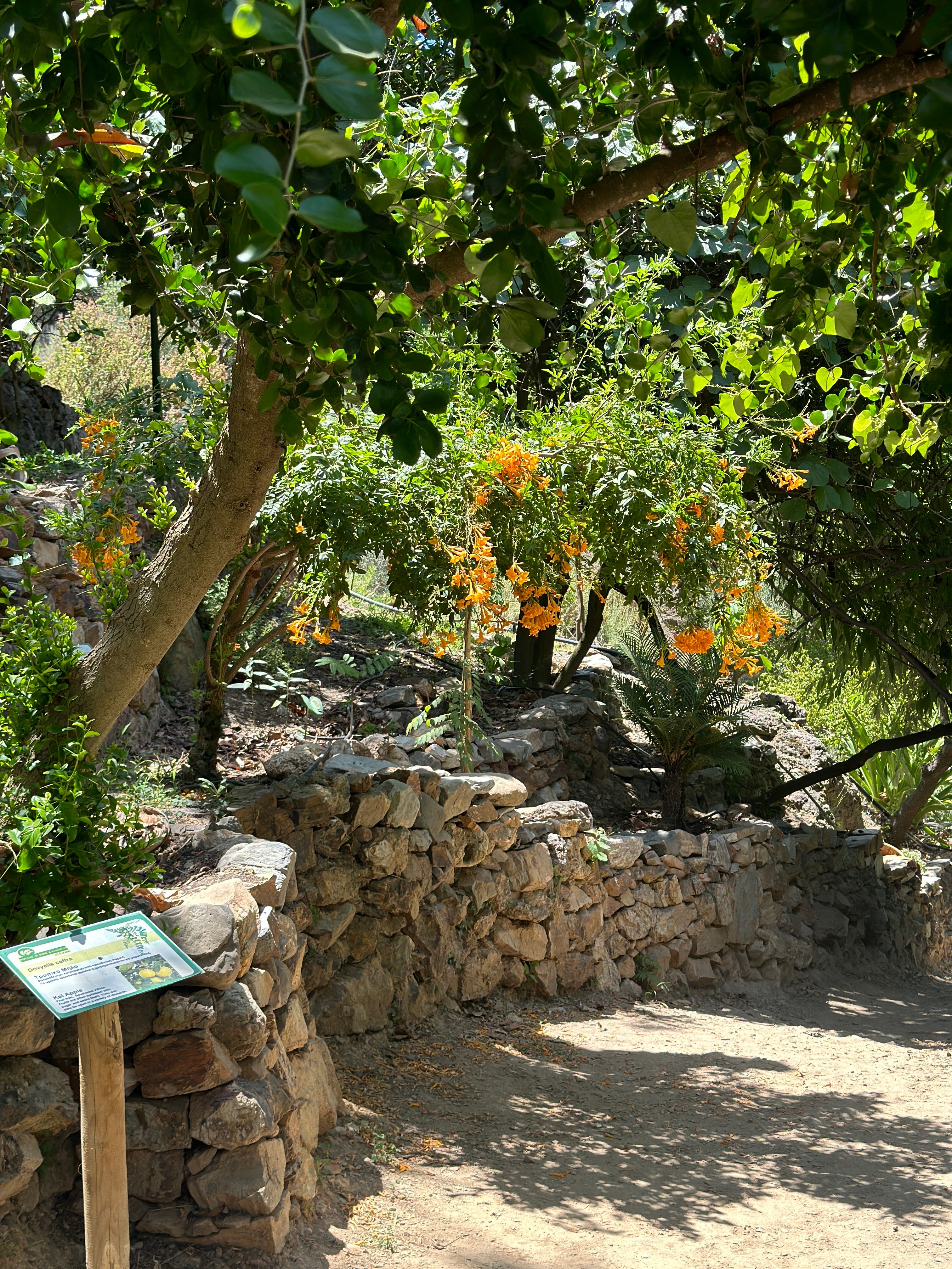 The botanical gardens had hundreds of types of flowers, plants and fruit