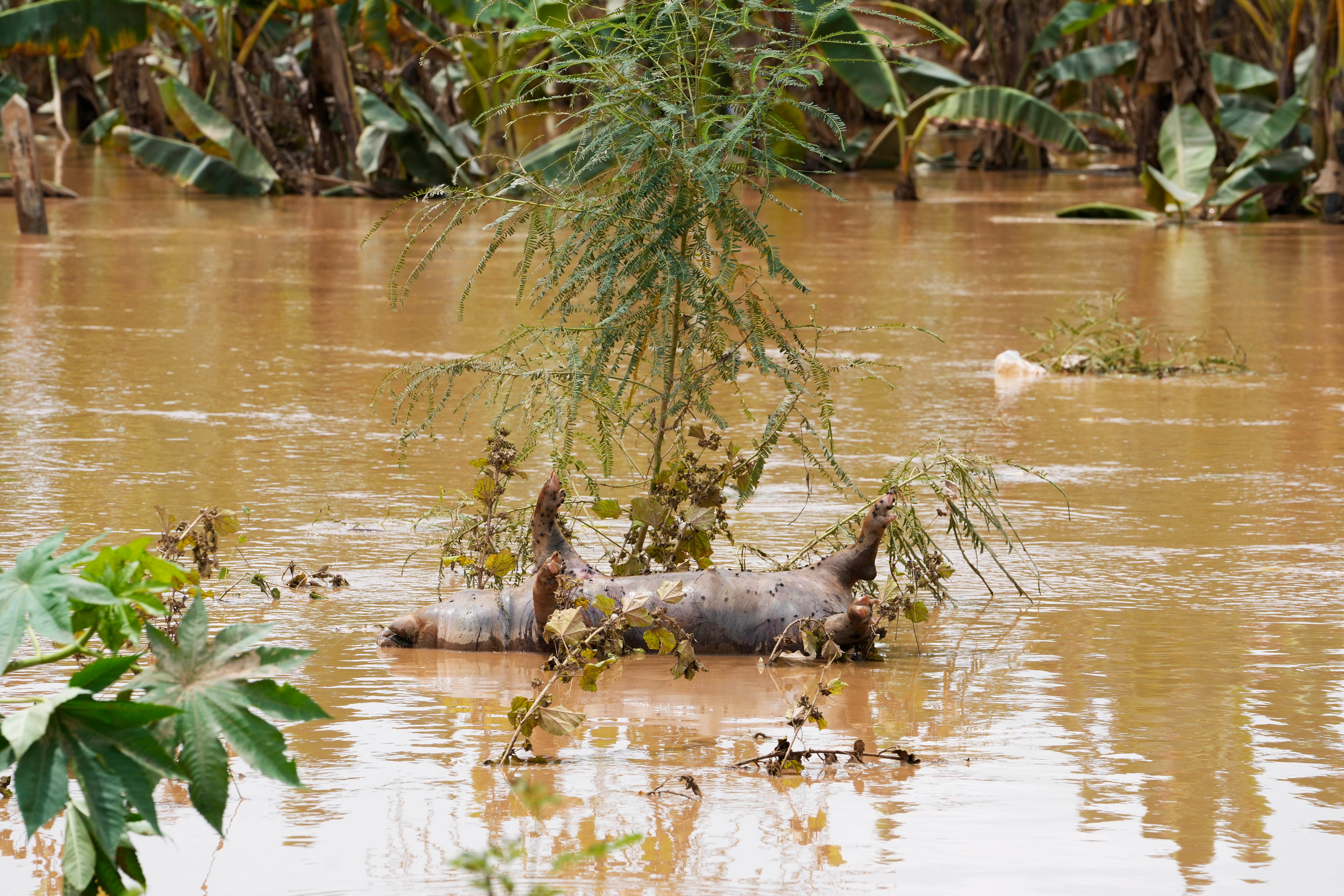 Myanmar Flood