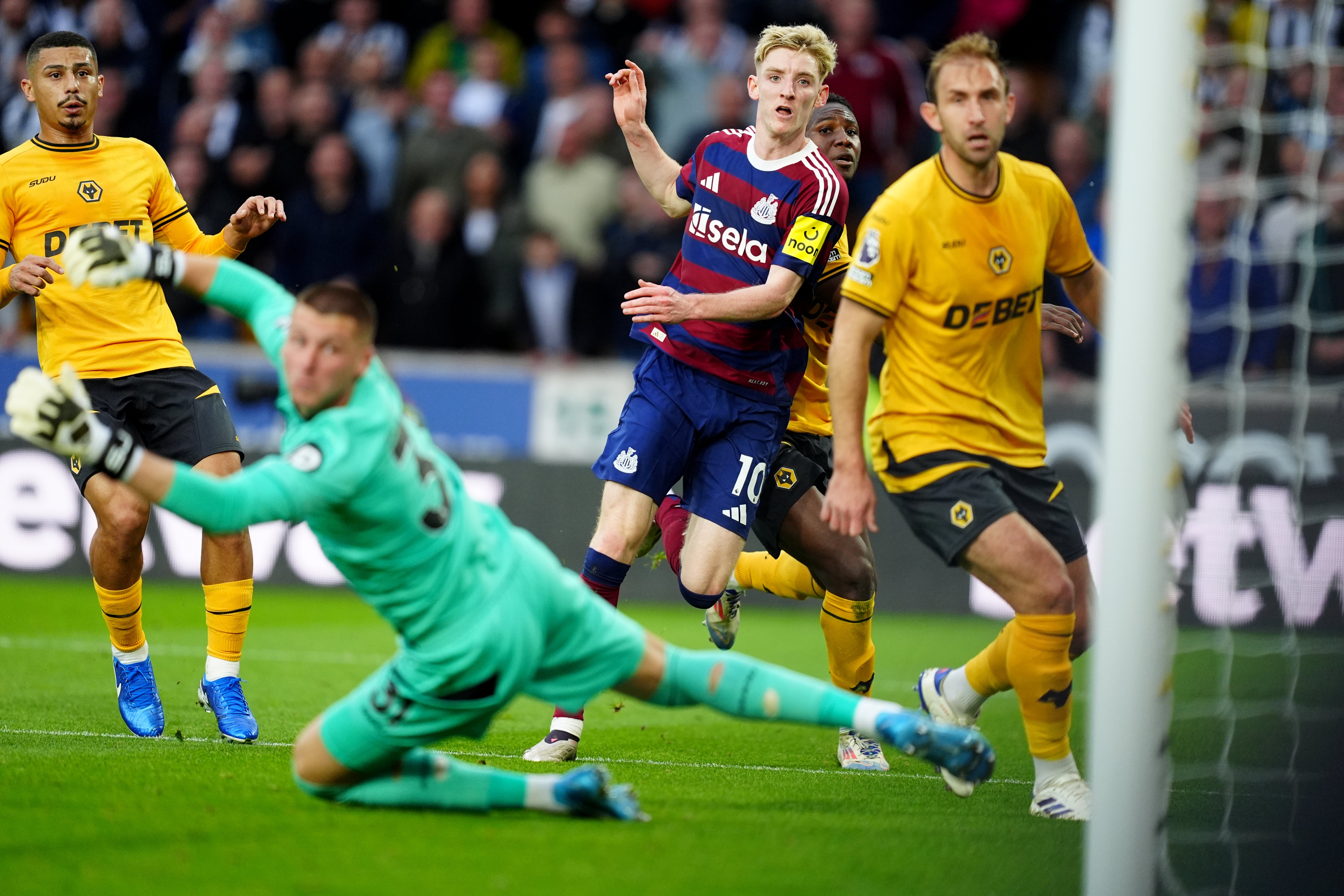 Anthony Gordon looks on as his shot hits the post