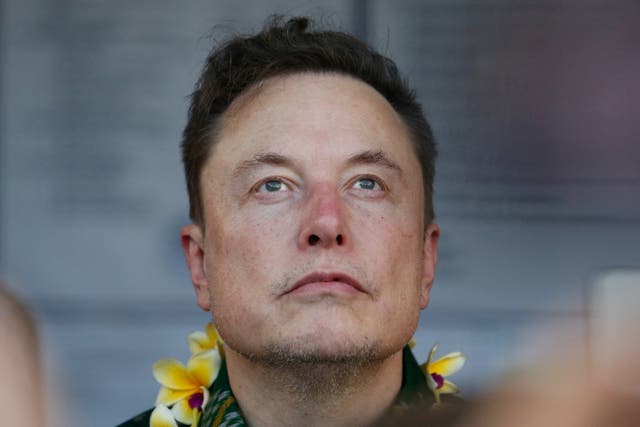 <p>Elon Musk has received fierce backlash to his post which he now claims was ‘a joke’ </p>