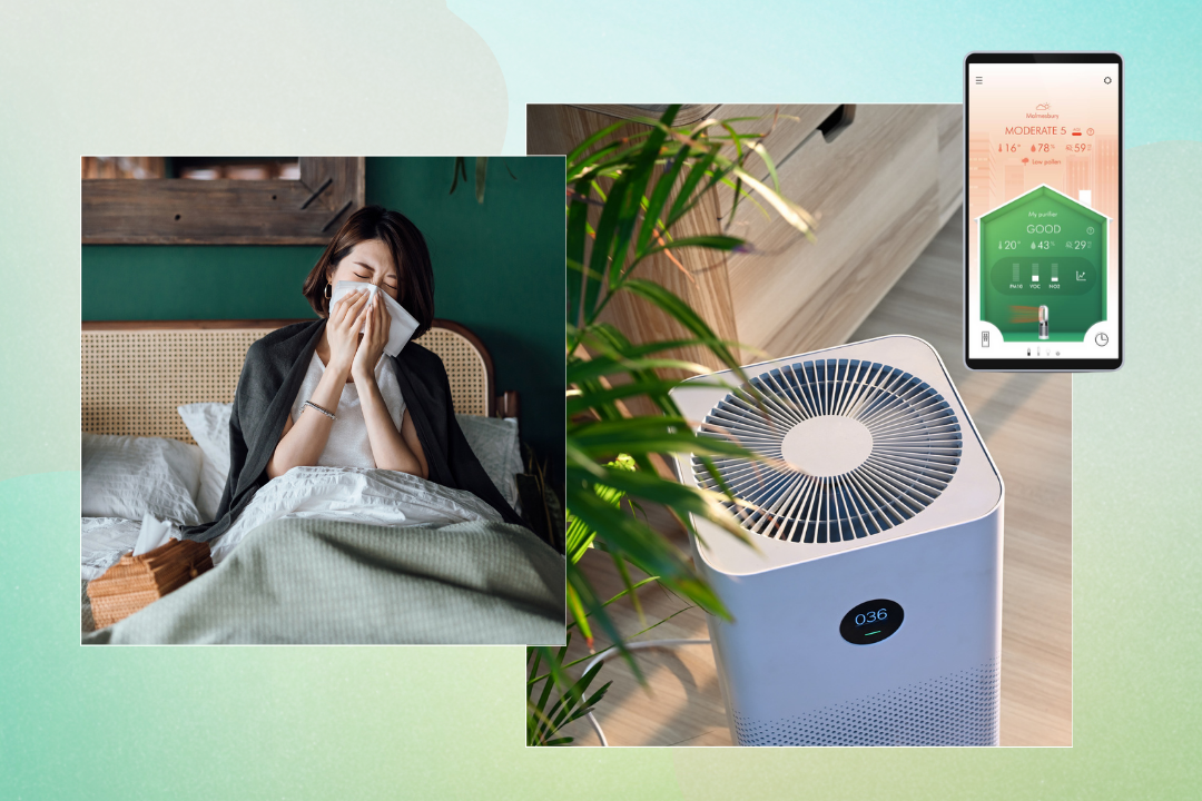 There are several easy ways to improve at-home air quality