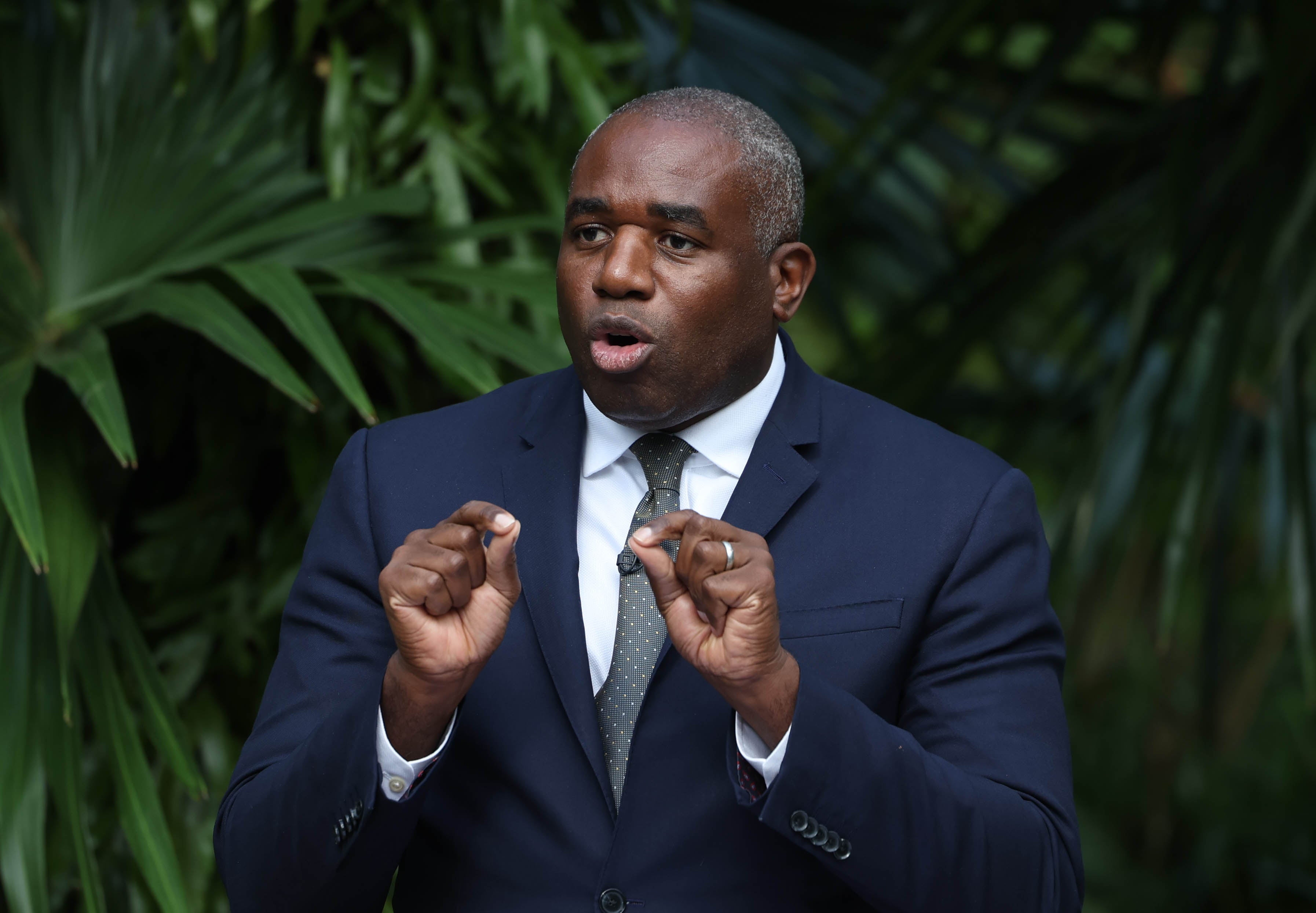 Foreign secretary David Lammy making a speech on the climate crisis