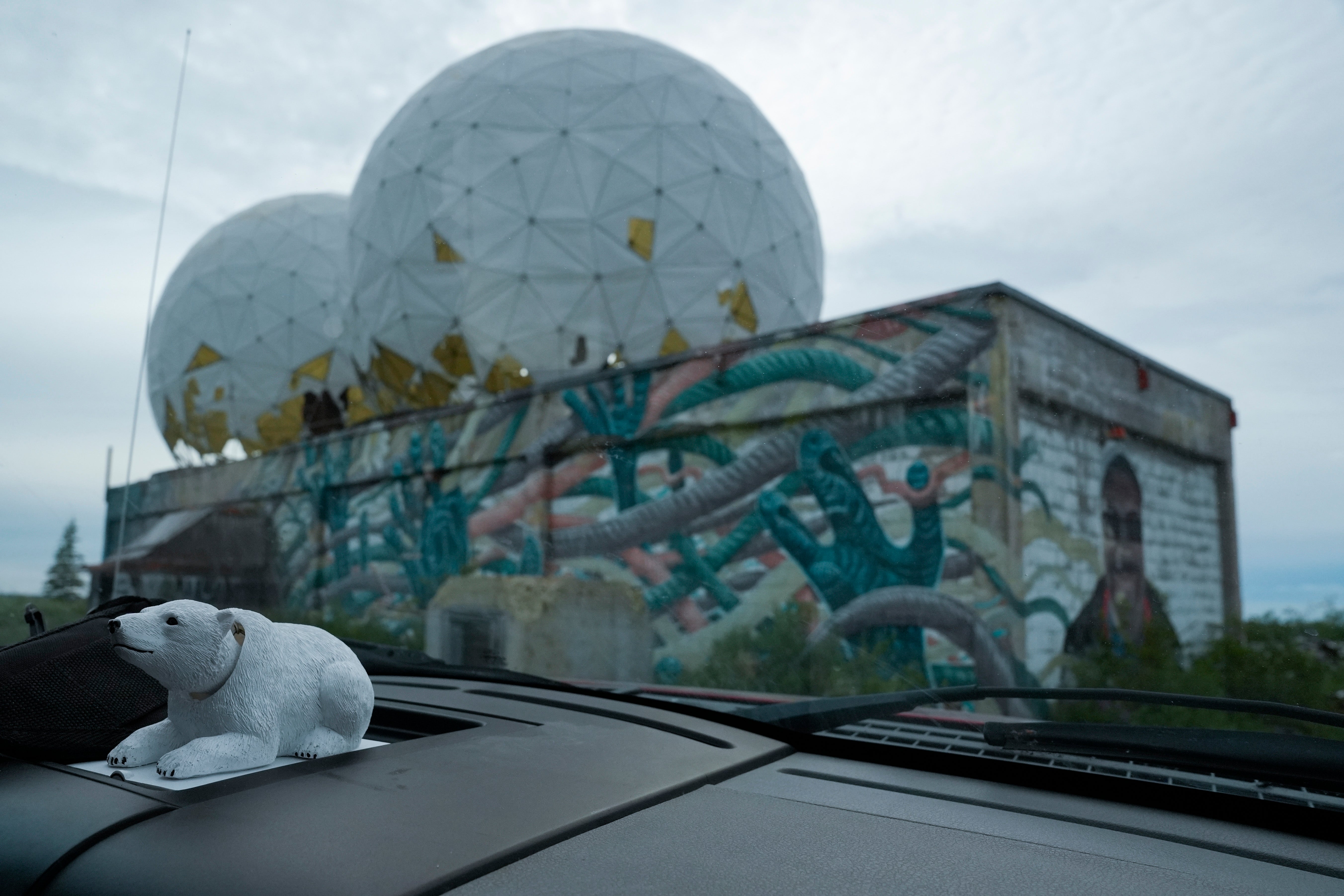 Climate Canada Polar Bears Photo Gallery