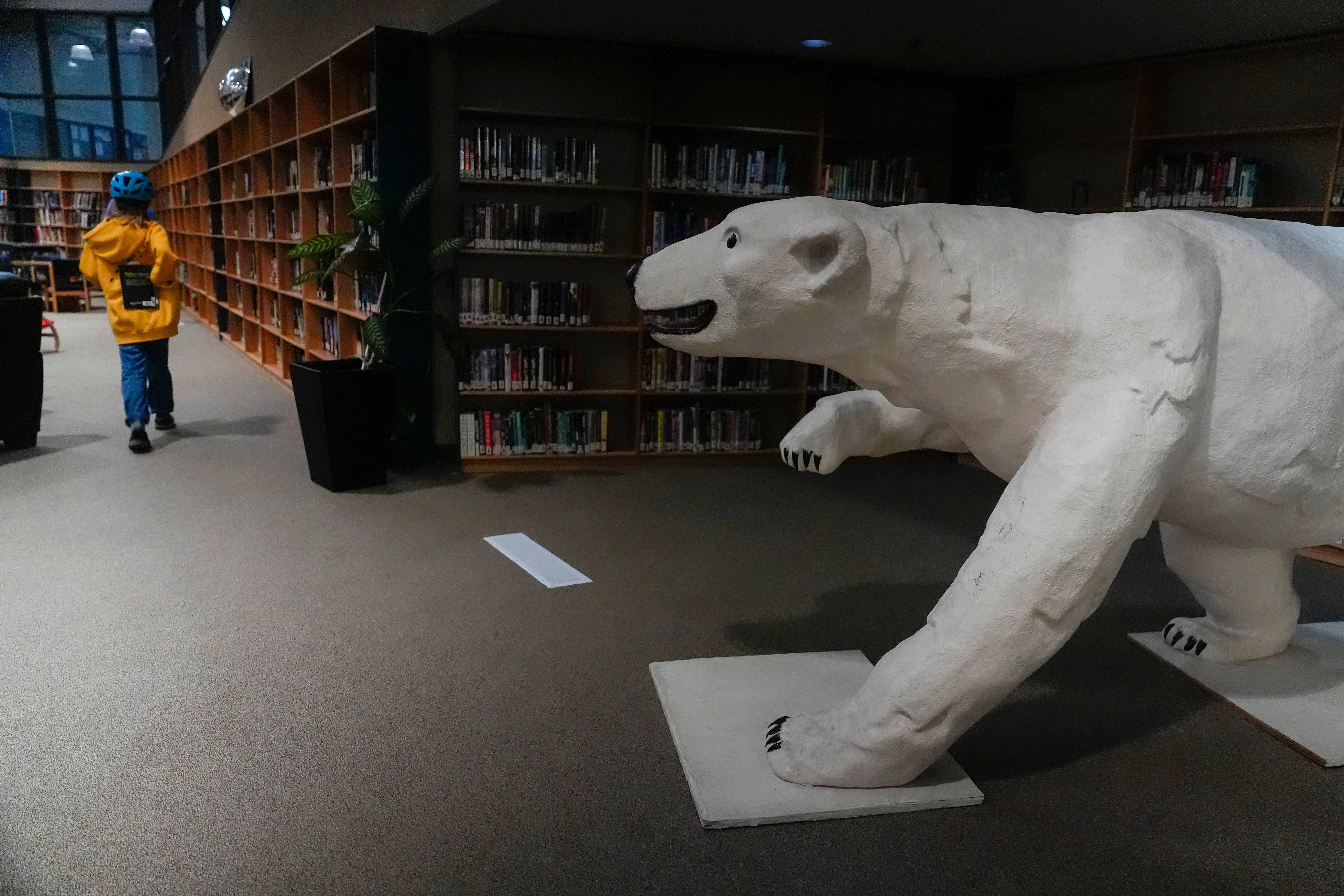 Climate Canada Polar Bears Photo Gallery