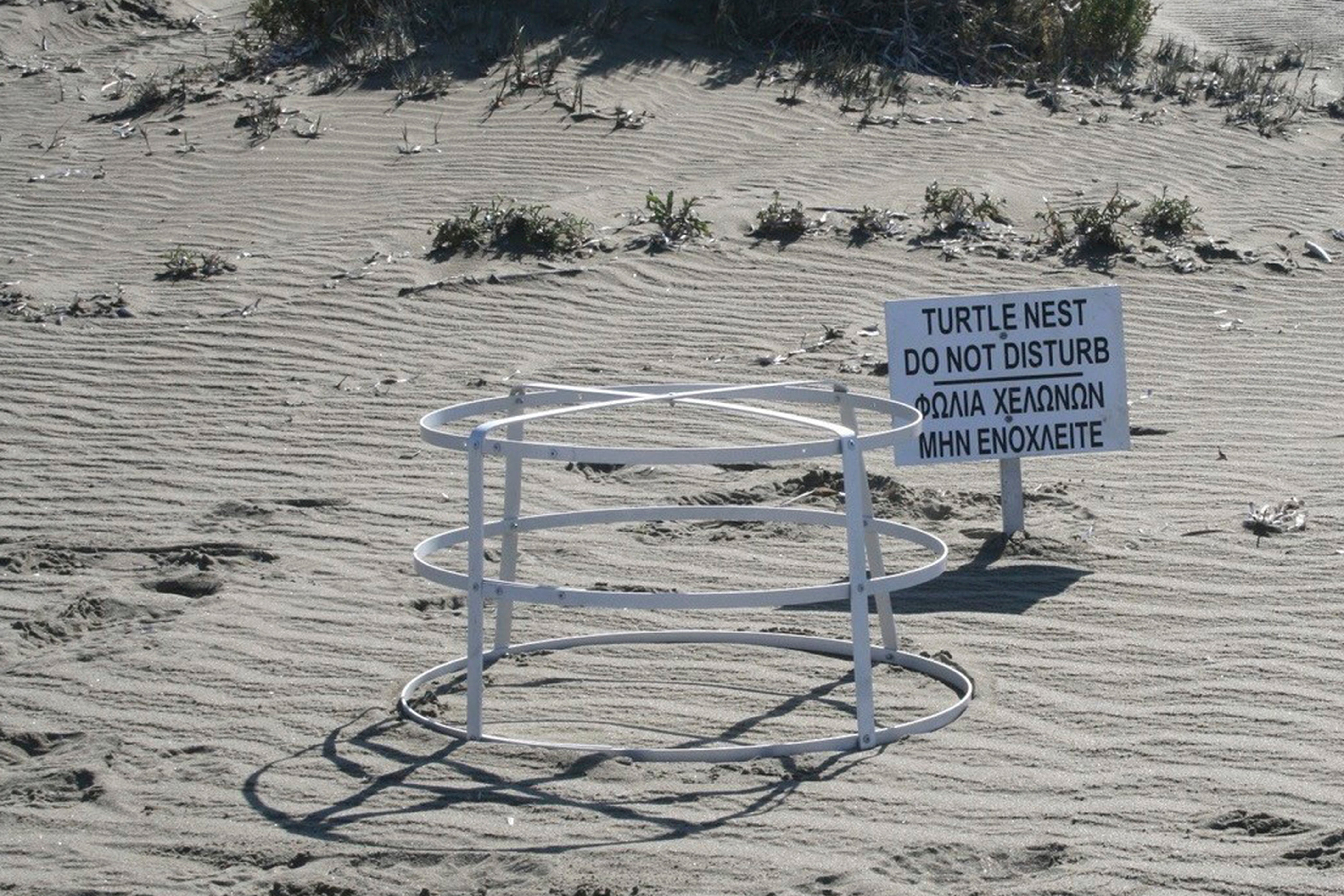 Cyprus UK Sea Turtles