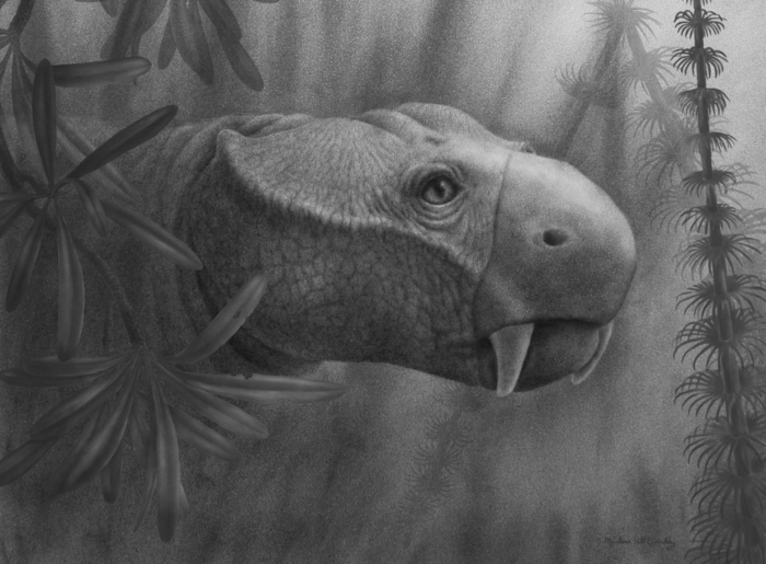 Life reconstruction of a dicynodon, one genus of dicynodonts