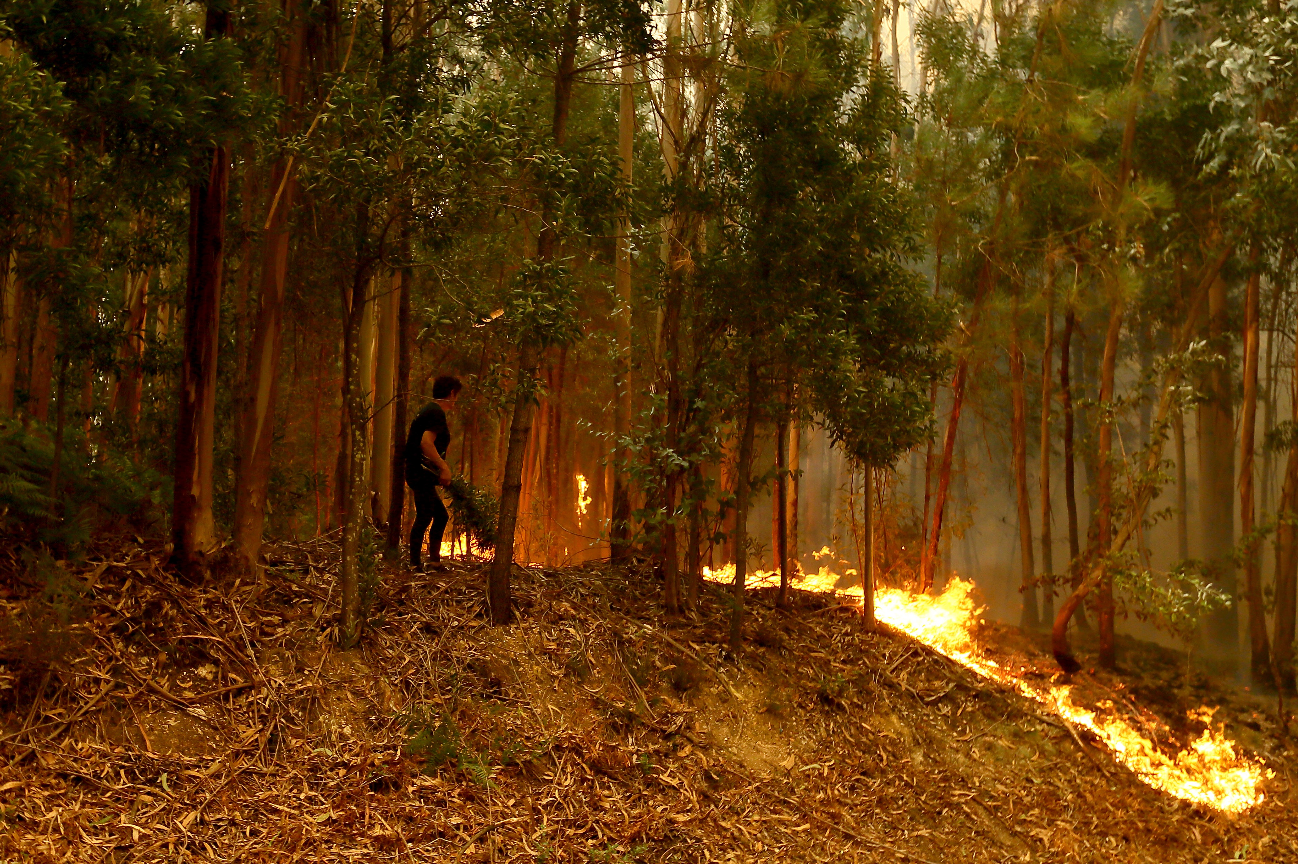 Portugal Wild Fires