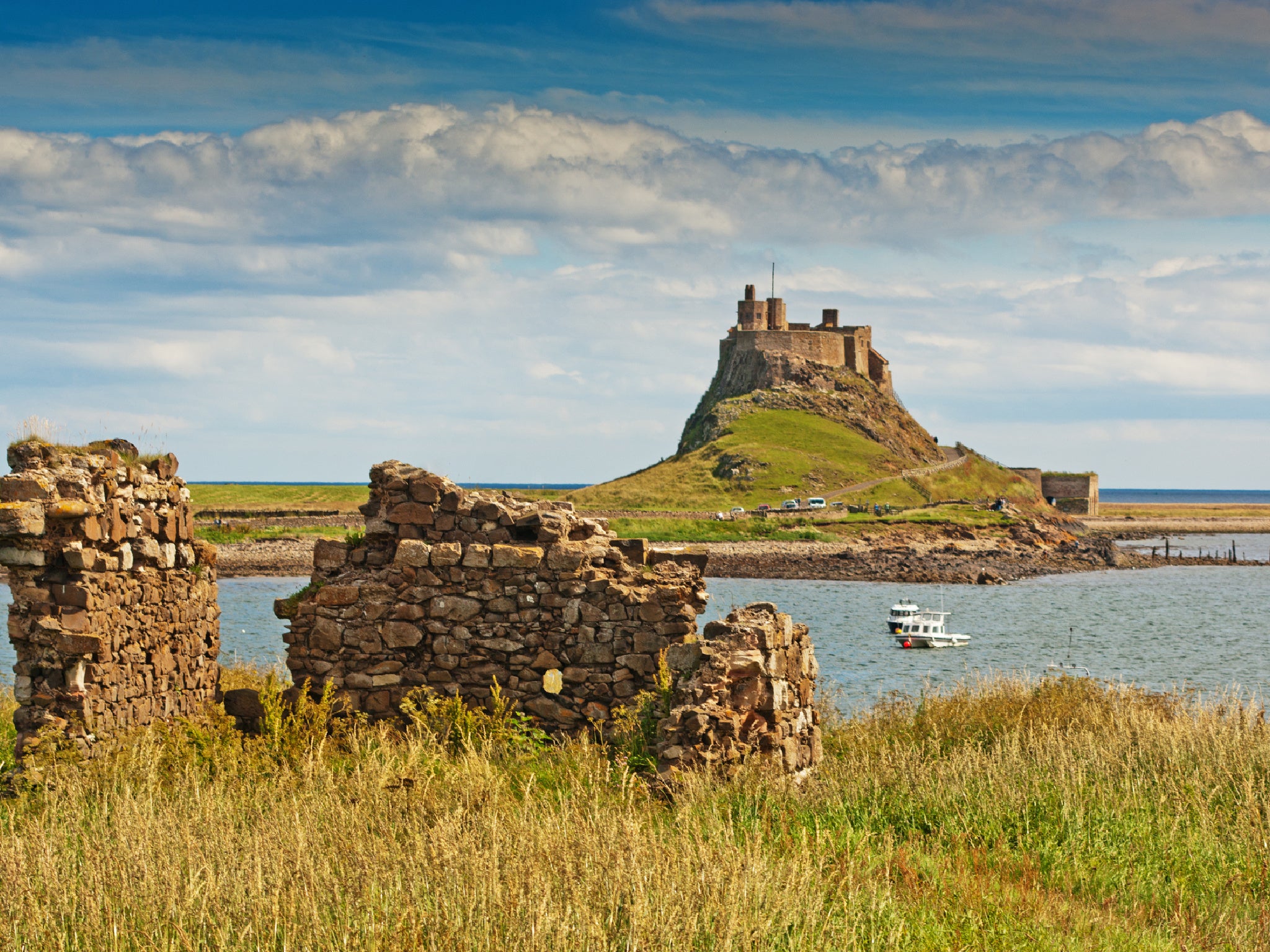 Spot seabirds and seals after explorining inside Lindisfarne Castle