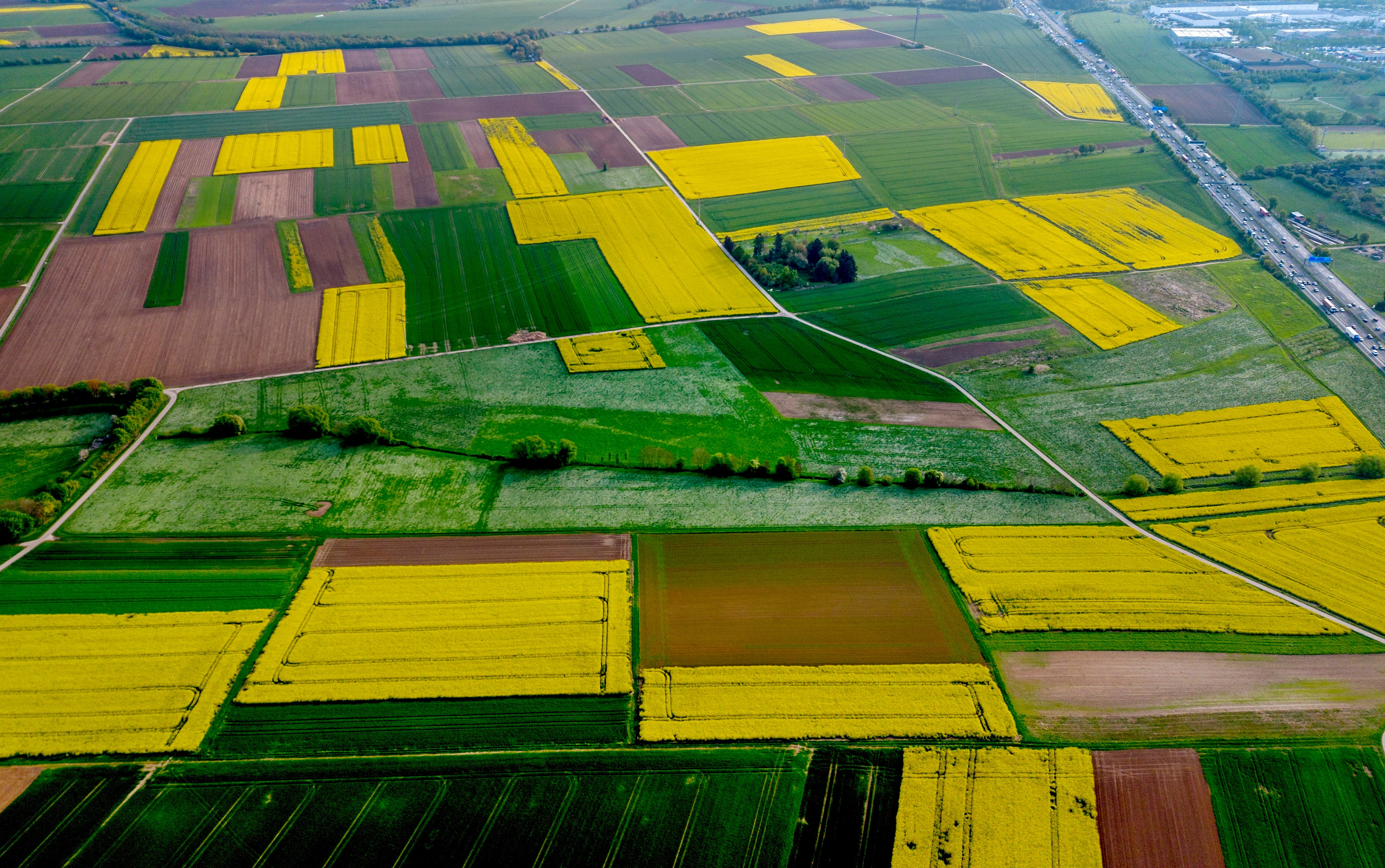 Germany Nature Photo Gallery