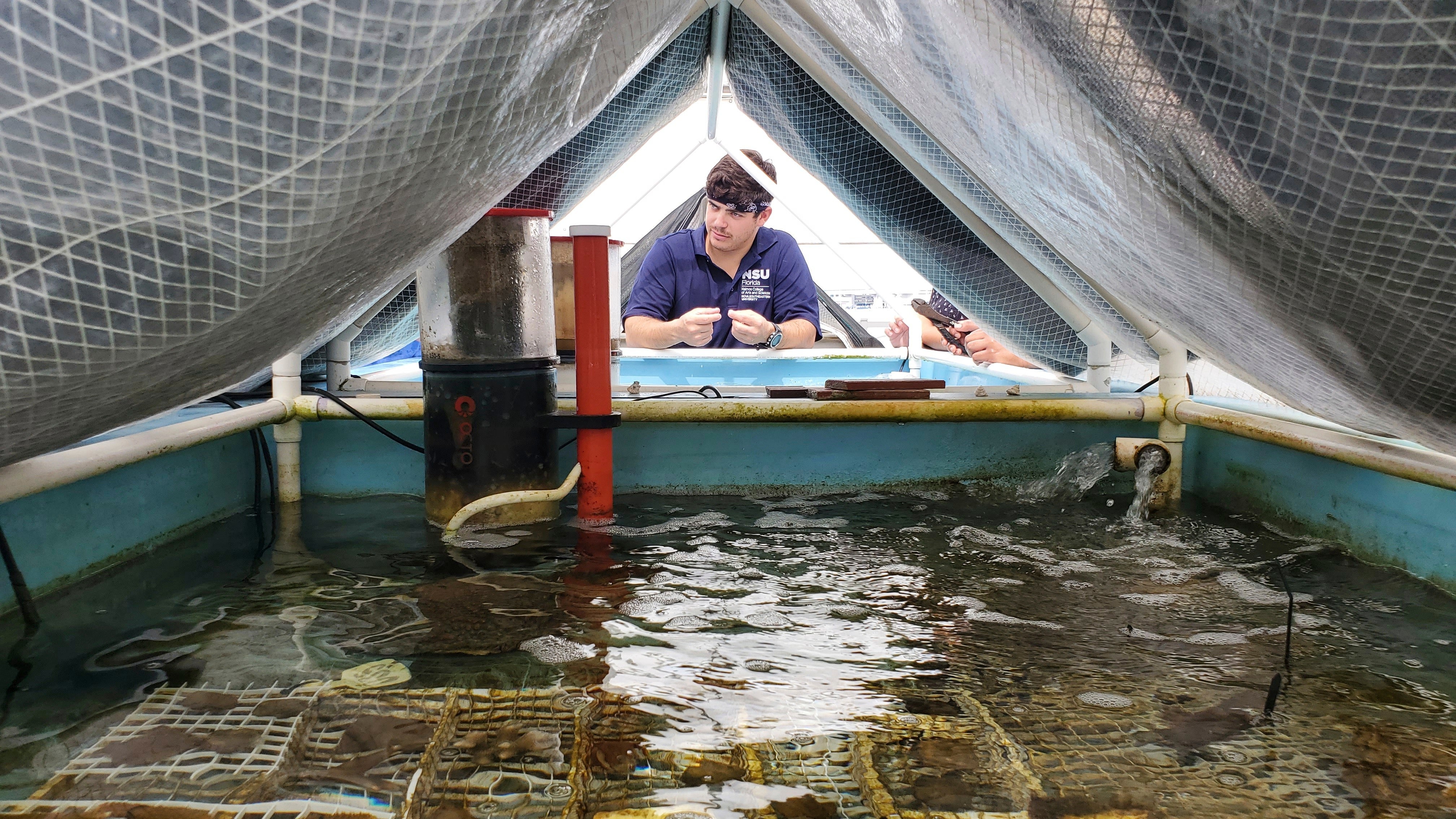 Coral Restoration Transport