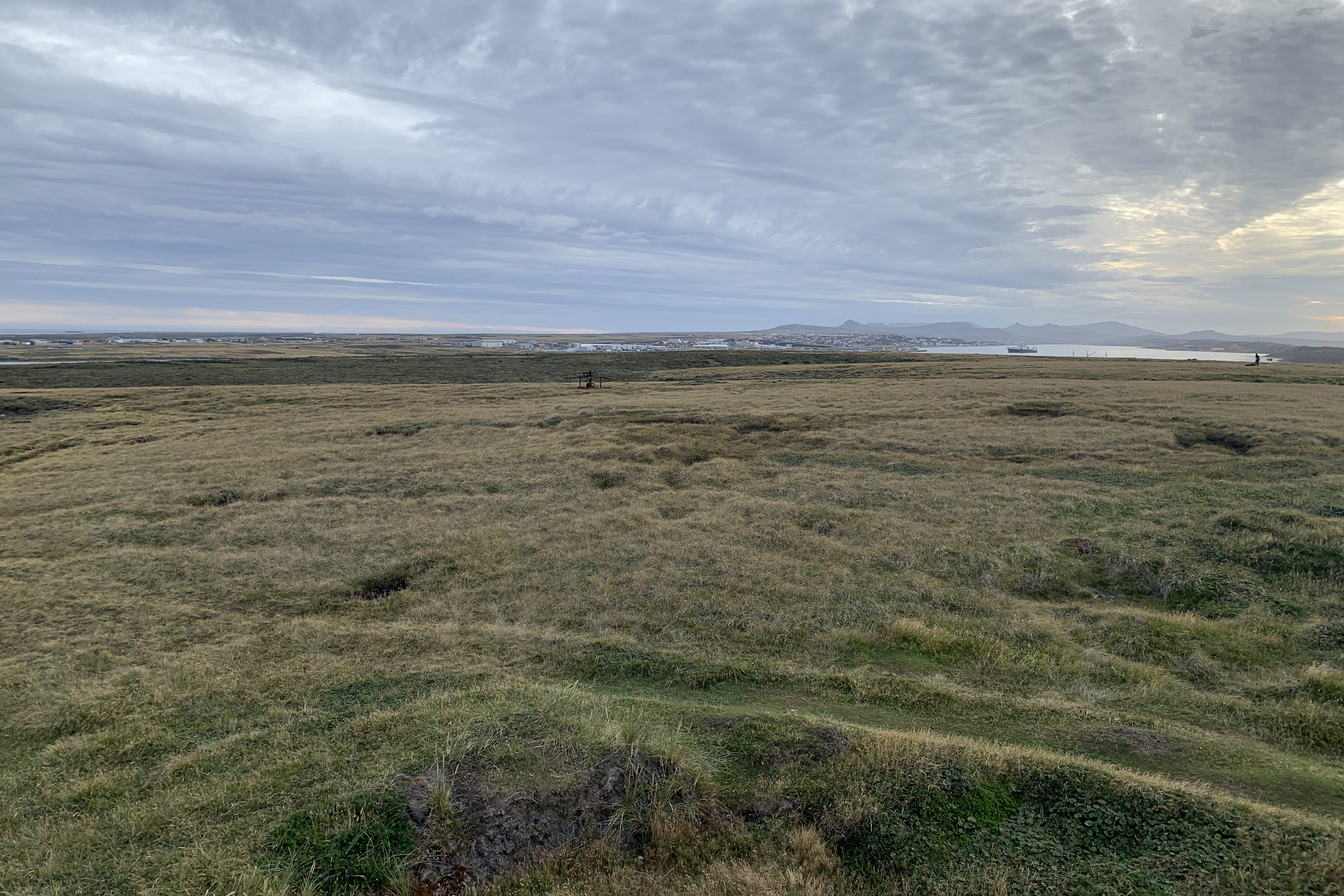 The treeless landscape of the Falkland Islands