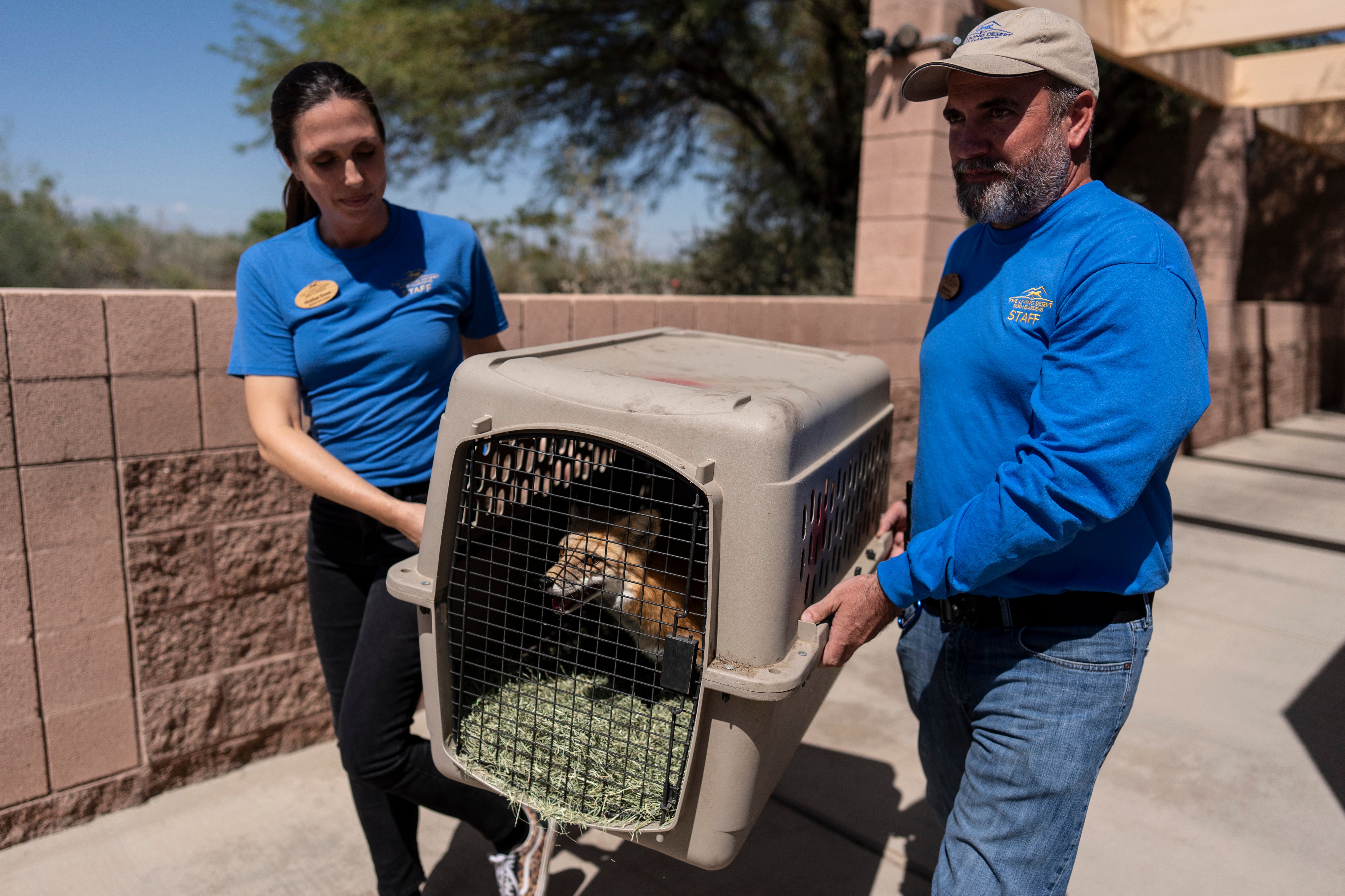 California Wildfire Moving Zoo