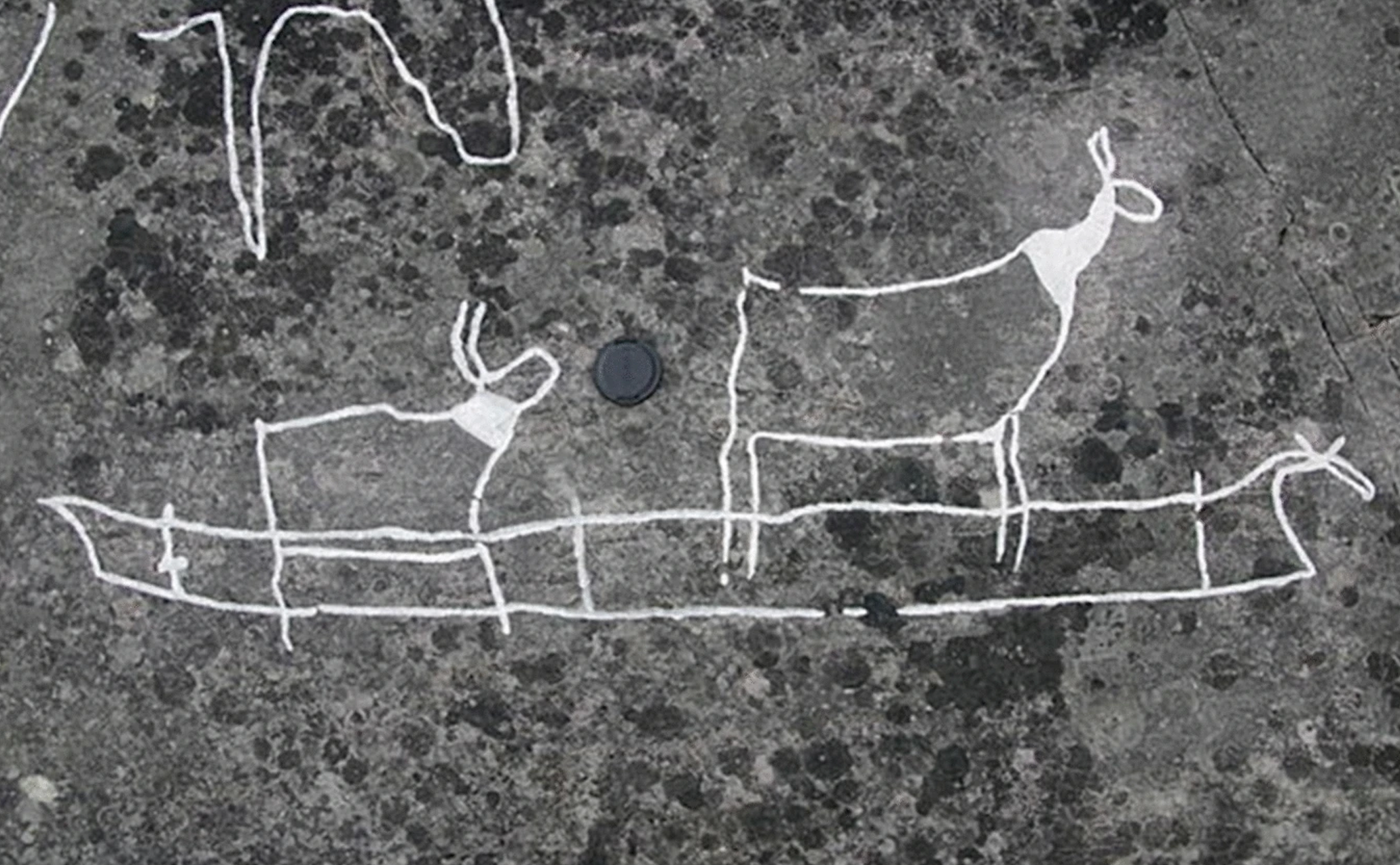 Rock art Image of potential skin boat transporting two reindeer