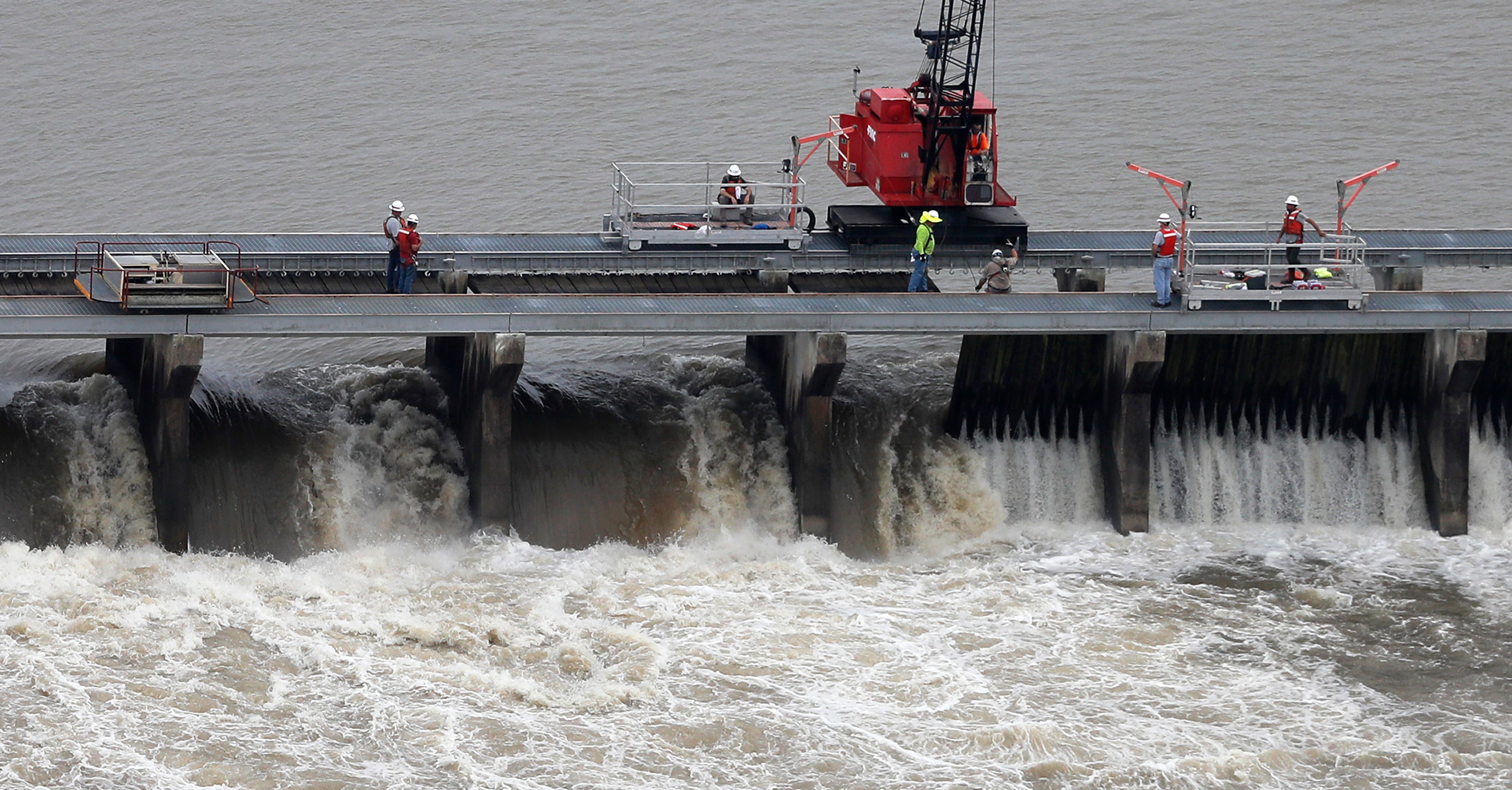 A judge dismissed a lawsuit that sought to protect dolphins along the Gulf Coast. Environmental groups sued the Army Corps of Engineers for releasing pollutants that led to dolphins getting sick or dying