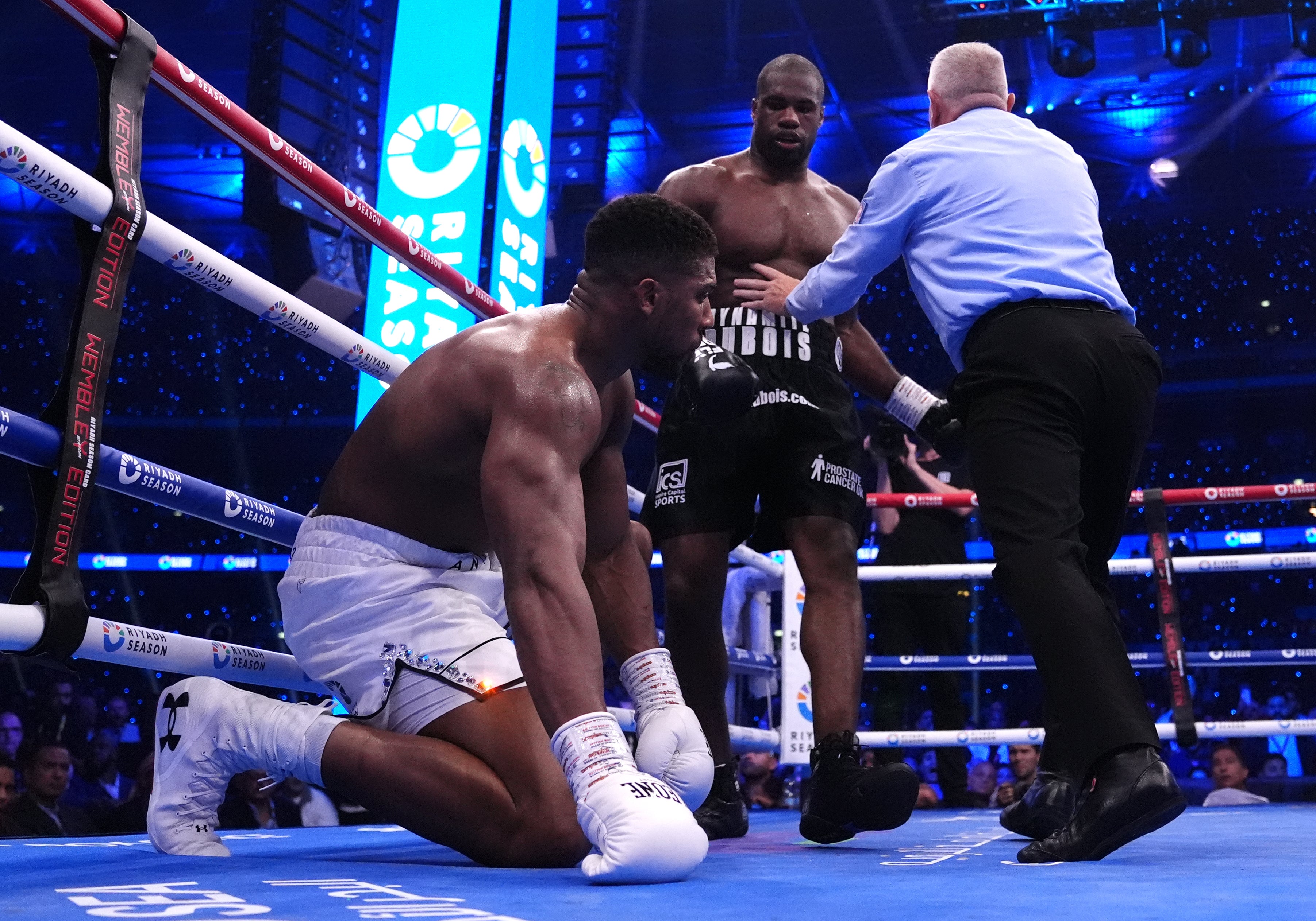 Anthony Joshua was knocked down four times by Daniel Dubois (Bradley Collyer/PA)