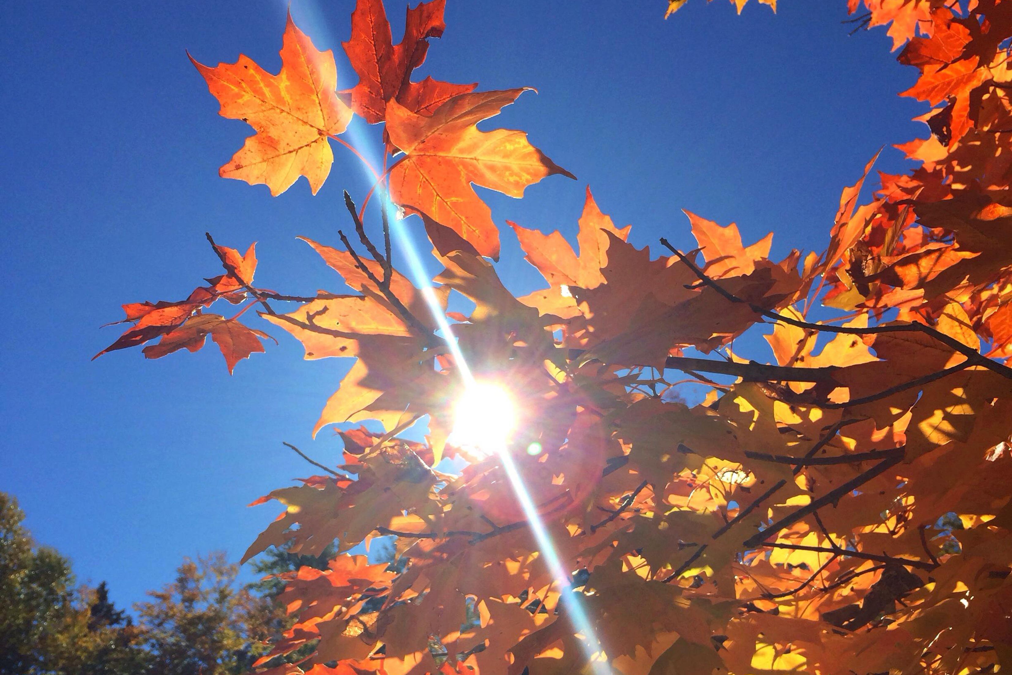 How to start preparing your garden for the colder weather (Alamy/PA)