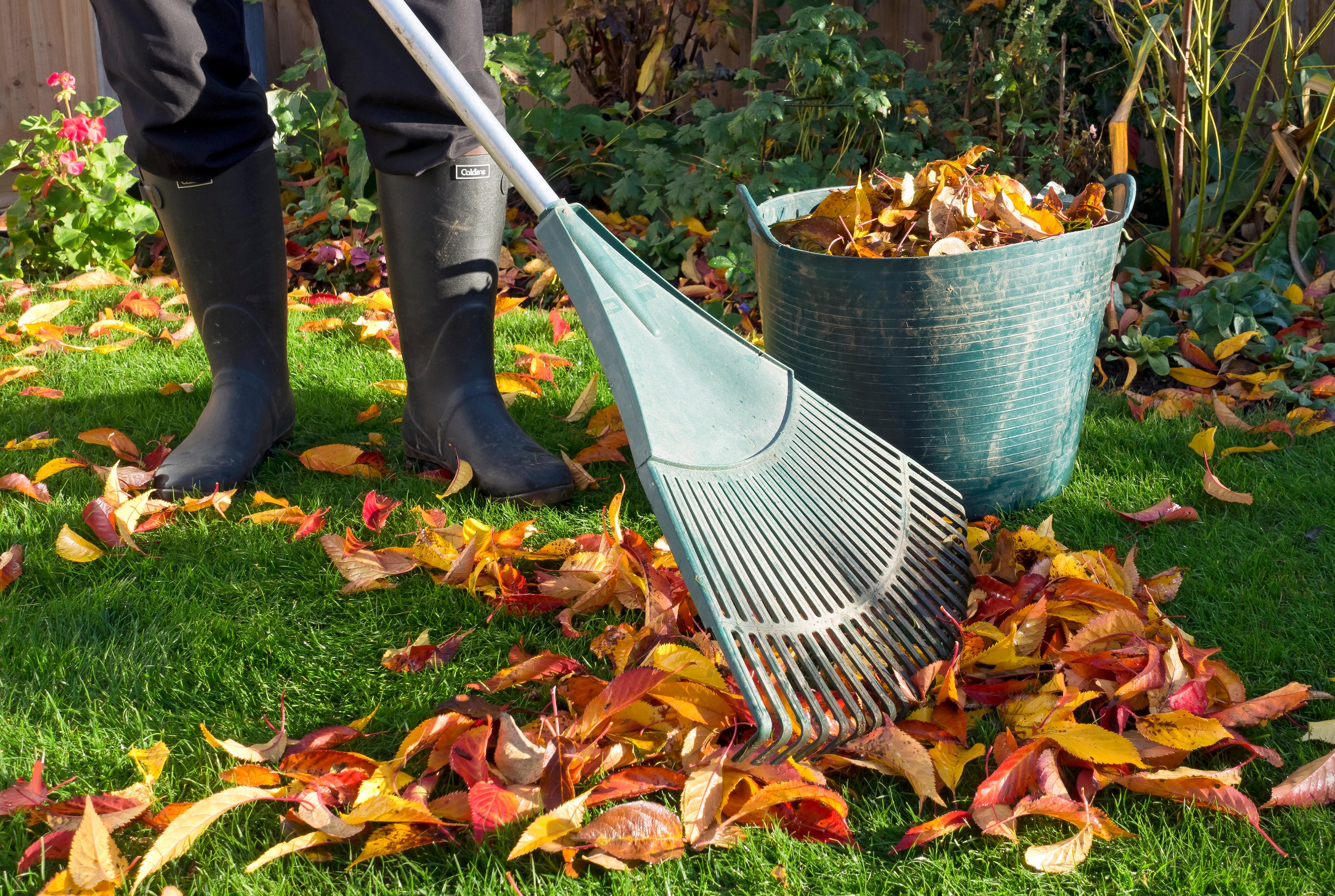 A man raking fallen leaves in autumn