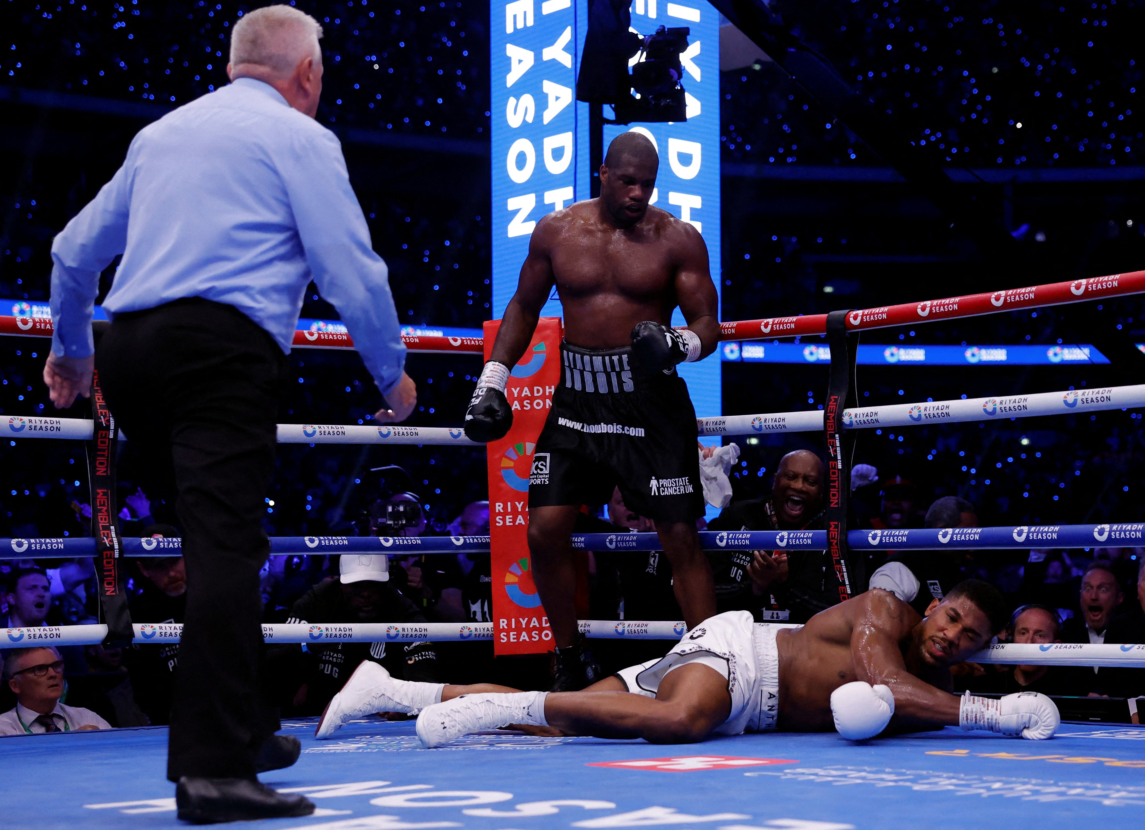 Dubois picked an opening for a single, sharp counter and down went Joshua for the full count