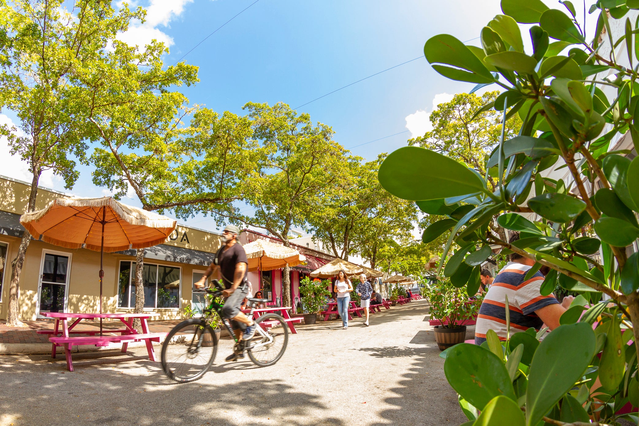 Coconut Grove is one of Miami’s most iconic “gaybourhoods”