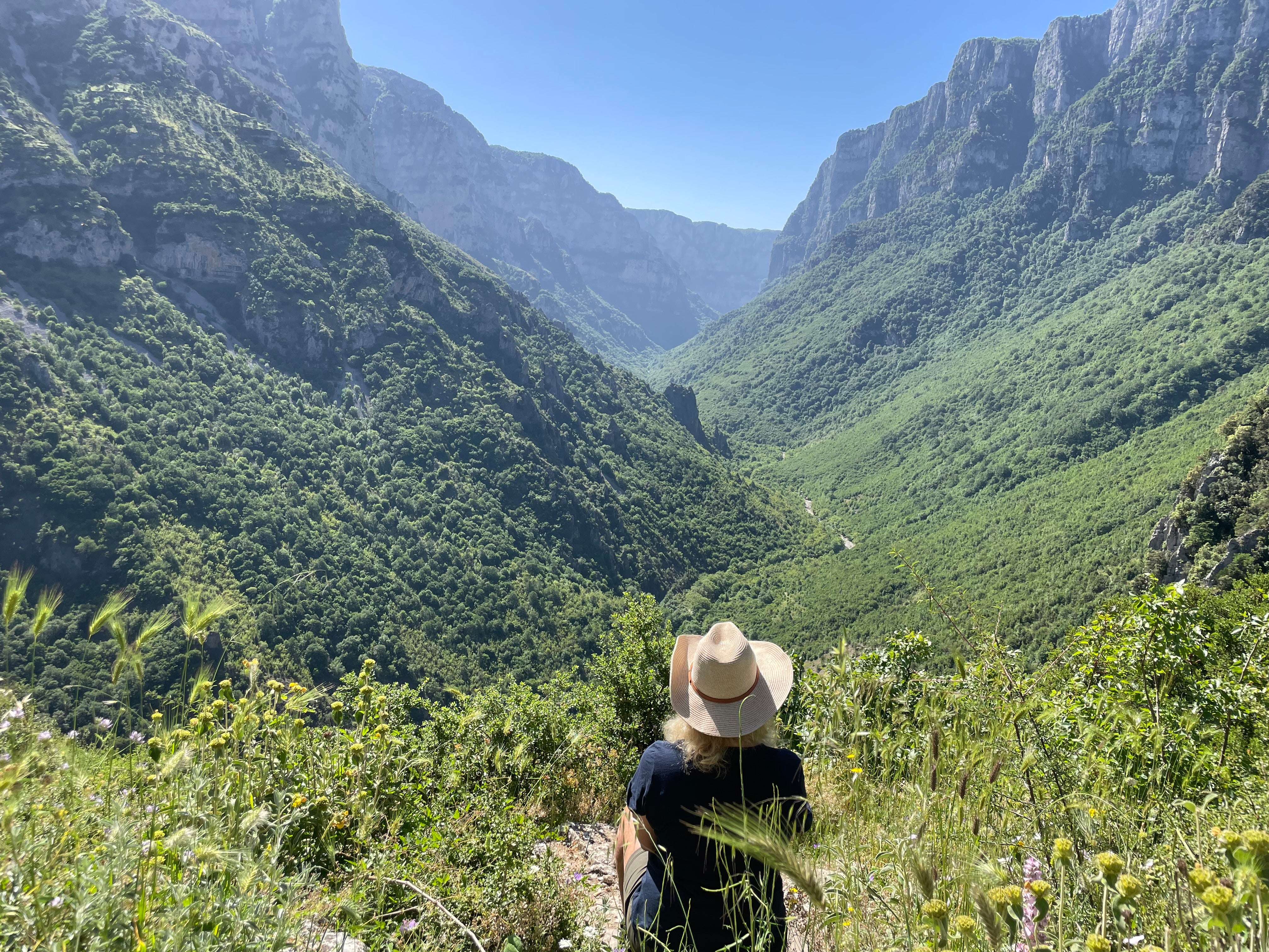 The lush wilderness of Greece’s Vikos Gorge