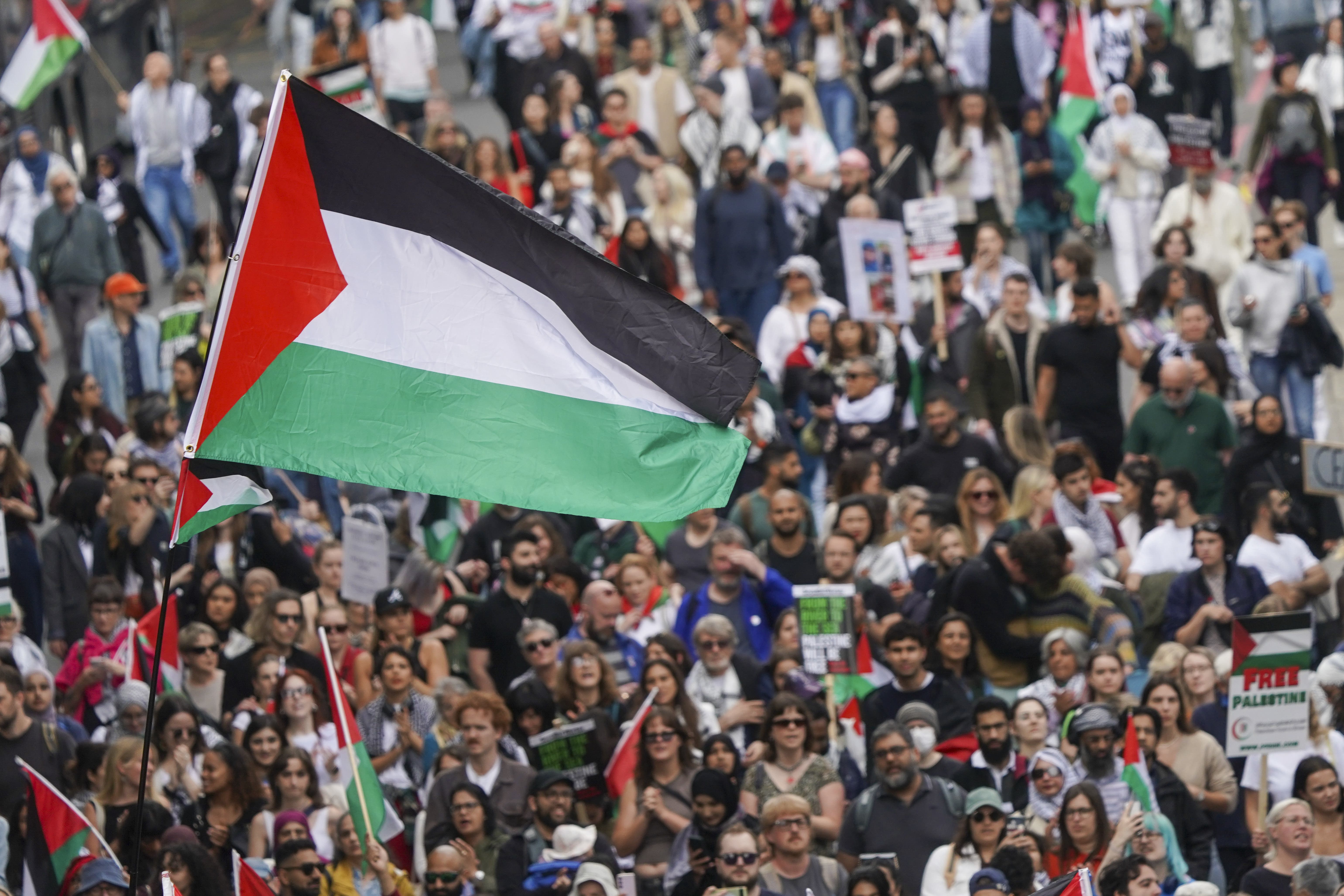 A demonstration for Gaza (Jeff Moore/PA)