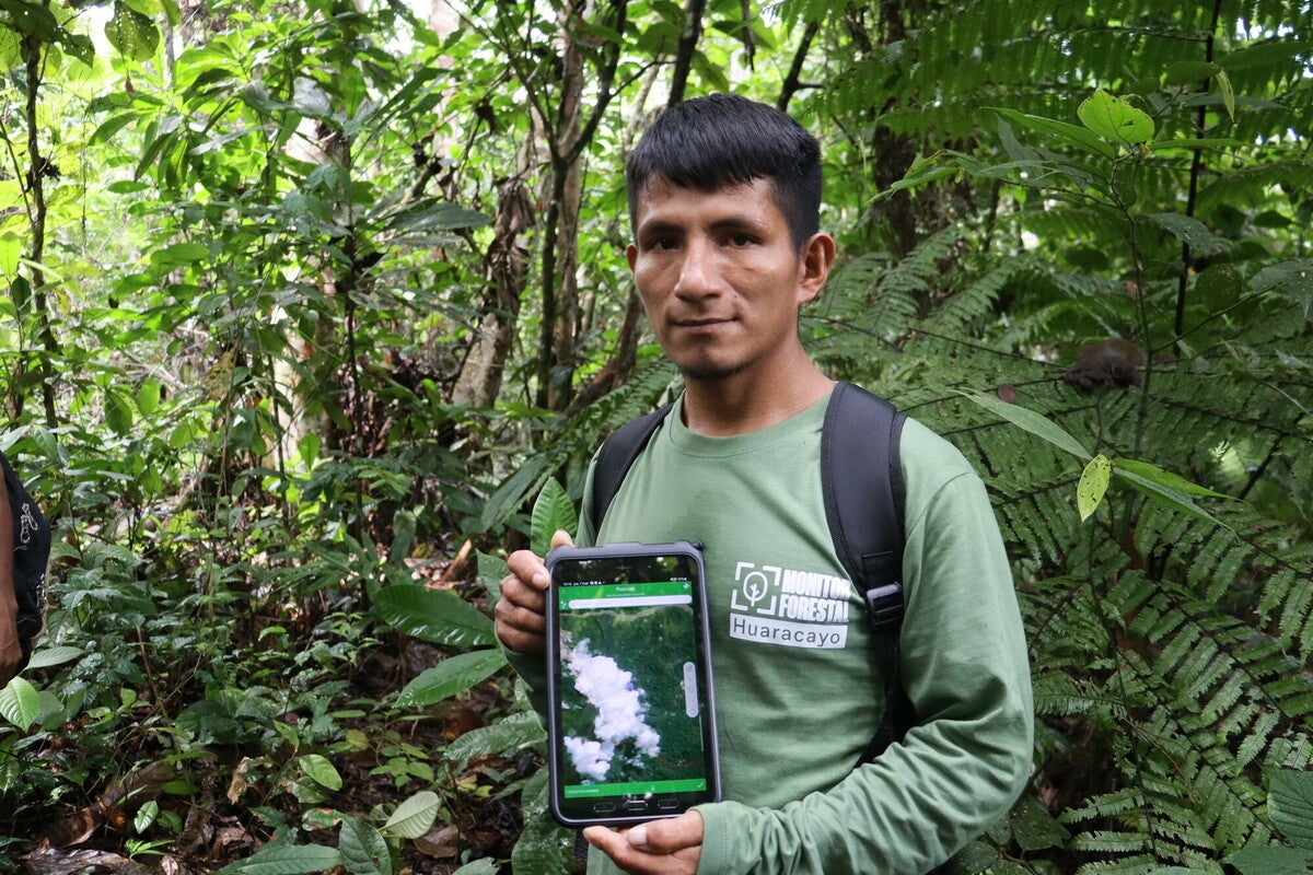 Ronaldiño, working with Forest Monitors in the Awajún community of Huaracayo, displays a tablet being used to take photos and register key information in the fight against deforestation