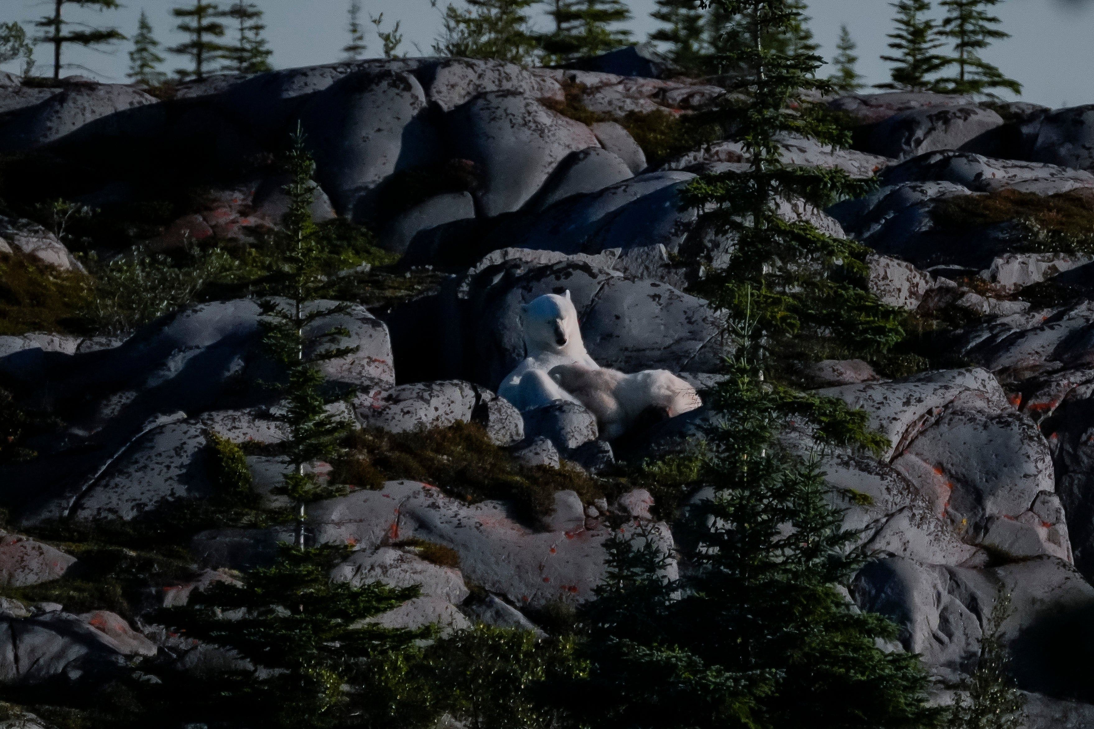 APTOPIX Climate Canada Ecosystem Outlook