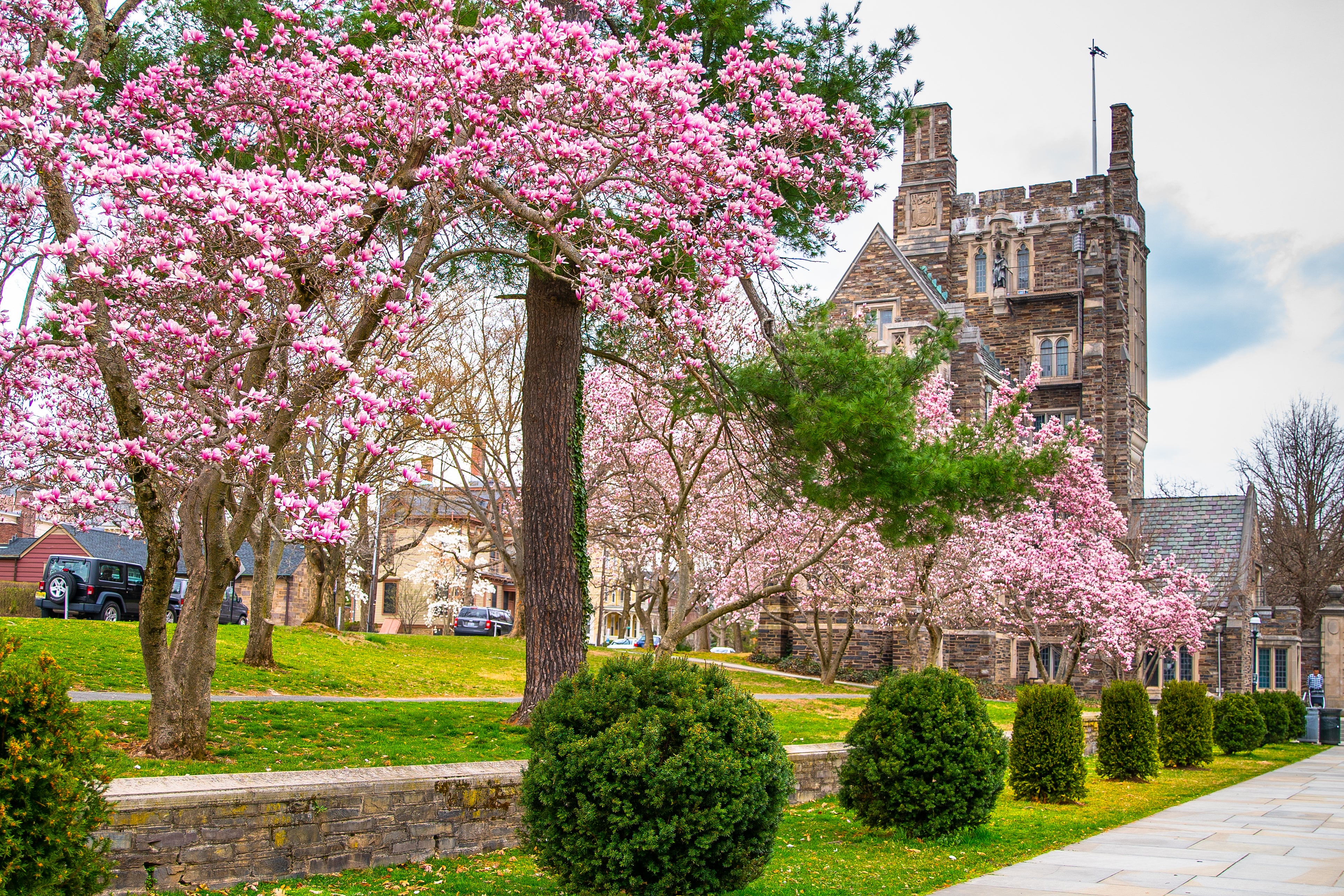 Princeton University (pictured) retained its top spot in the US News and World Report rankings