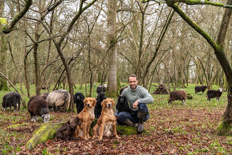 Four-legged friends: James has a veritable menagerie of dogs