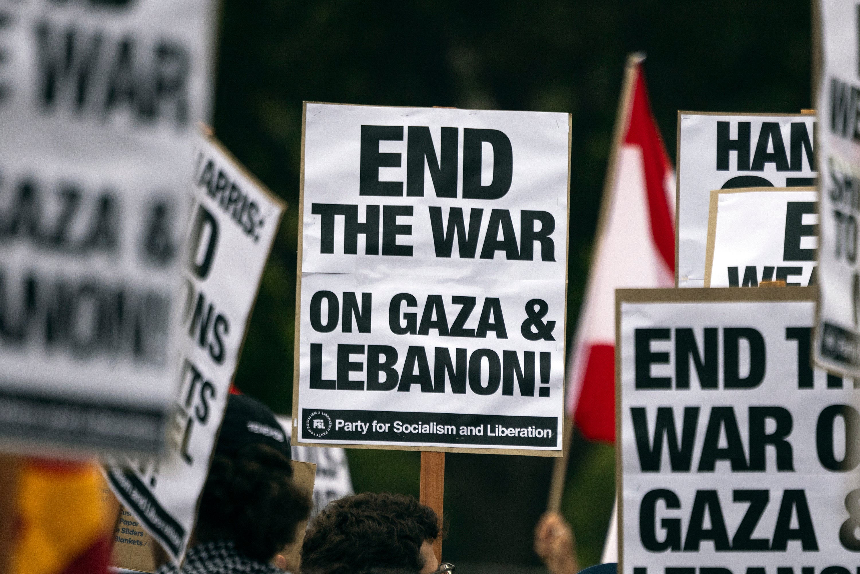 A protester waves a Lebanese flag as demonstrators gather to protest the war in Gaza and Lebanon in front of the Los Angeles Federal Building