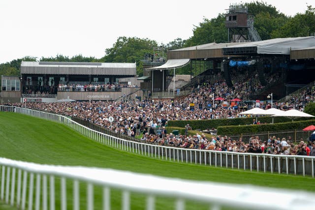<p>A view of the grandstand at Newmarket Racecourse</p>