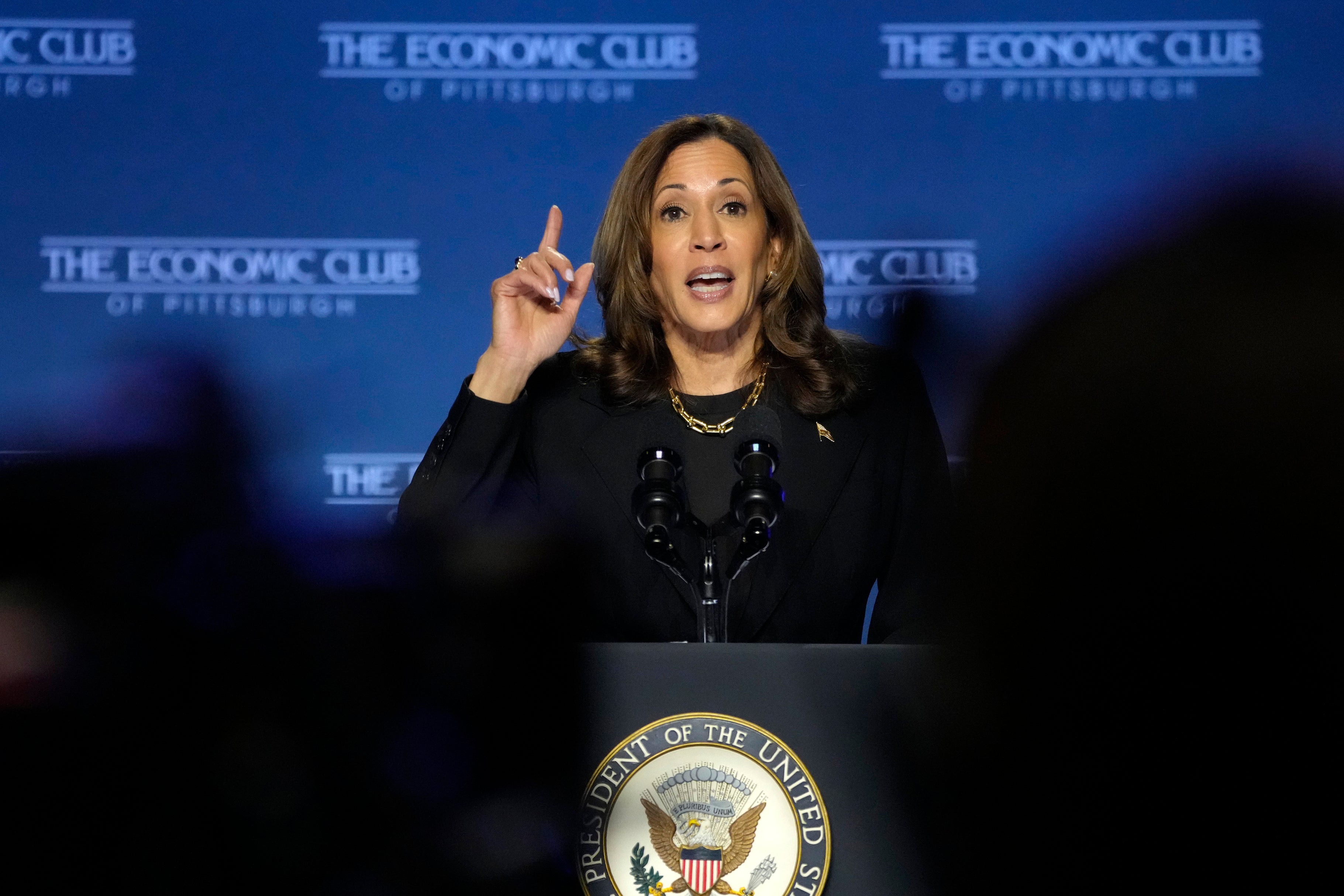 Kamala Harris calls Iran a destabilising force in Middle East