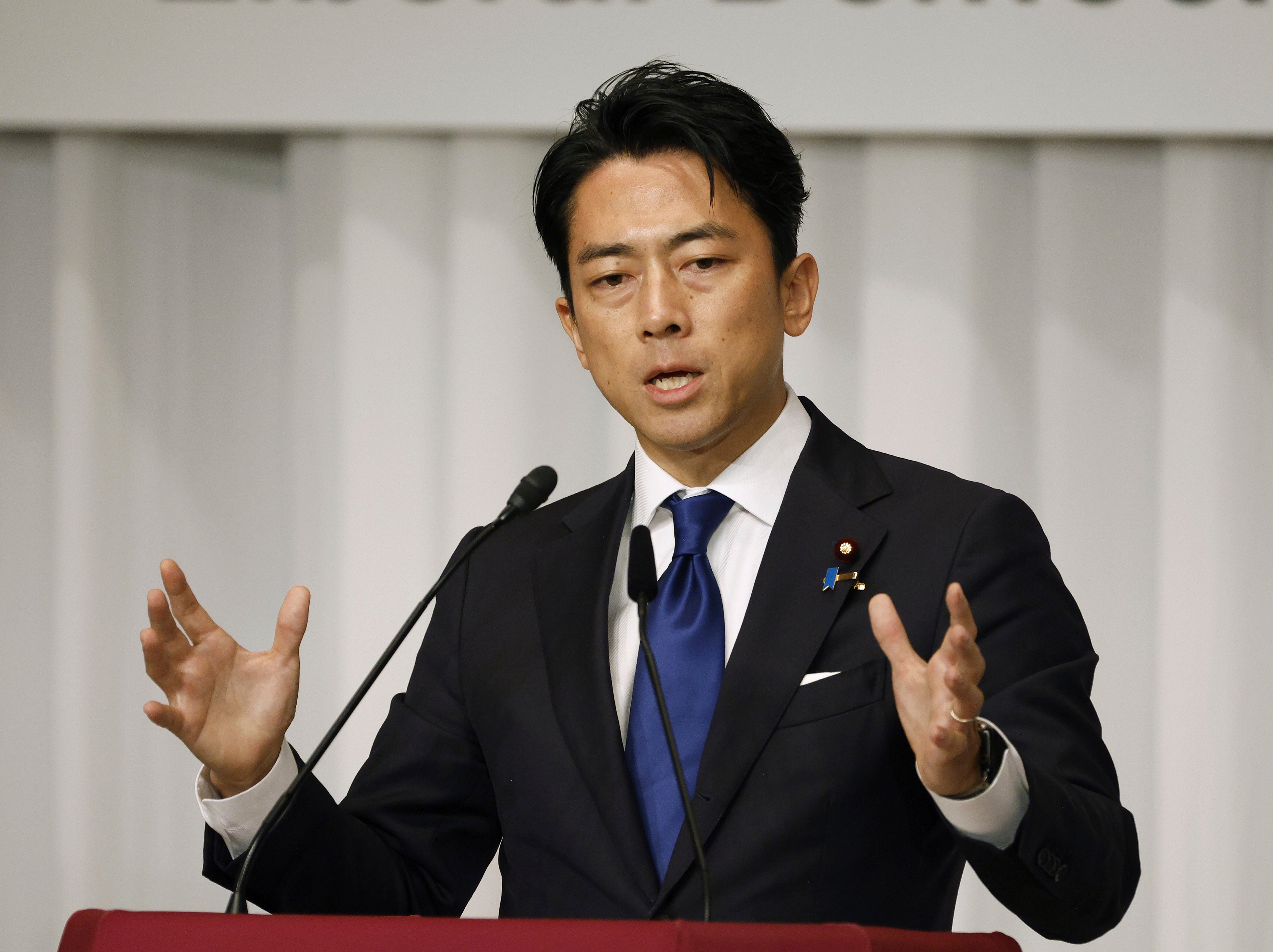 Japan Politics Candidates