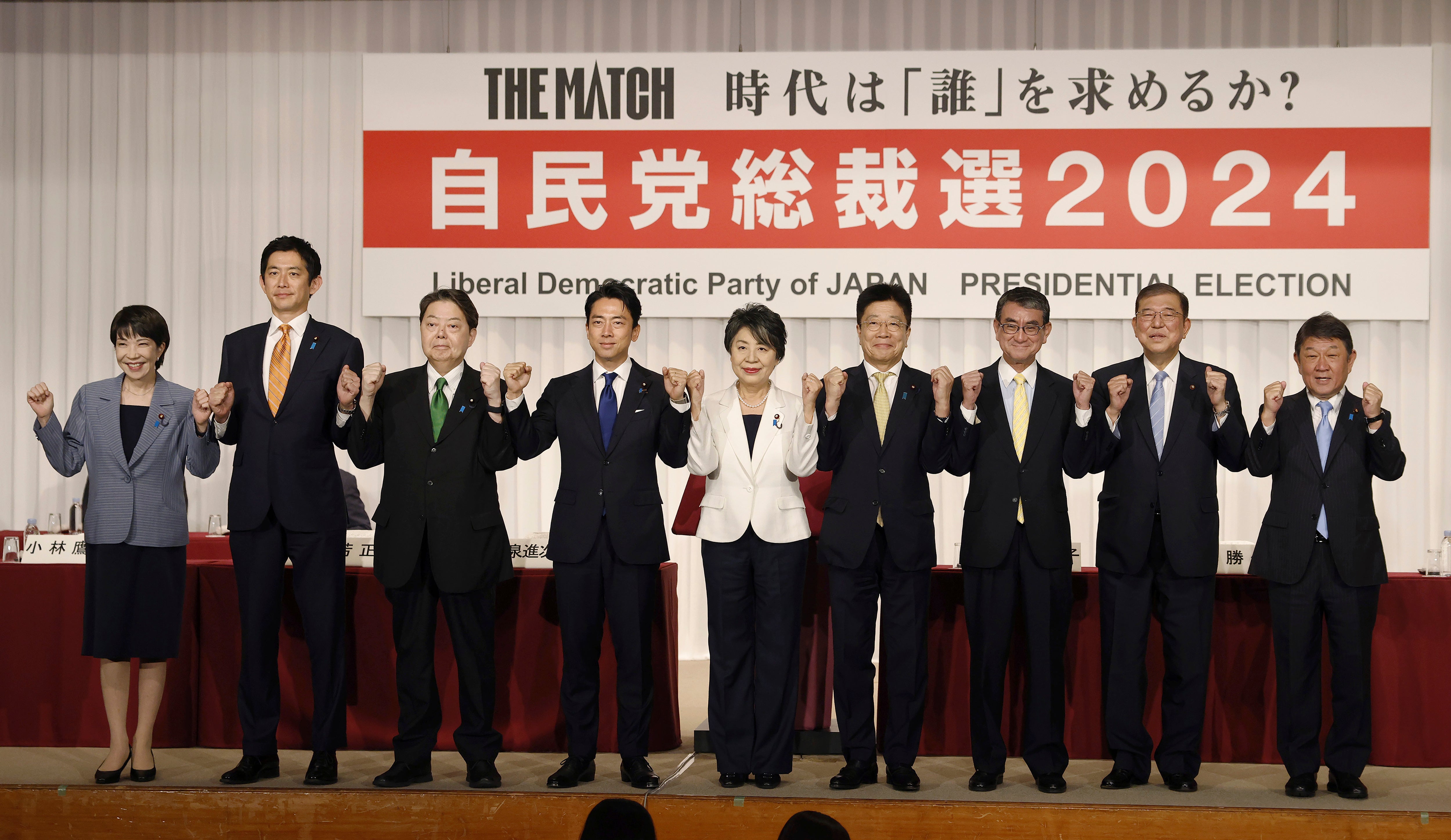 Japan Politics Election Explainers