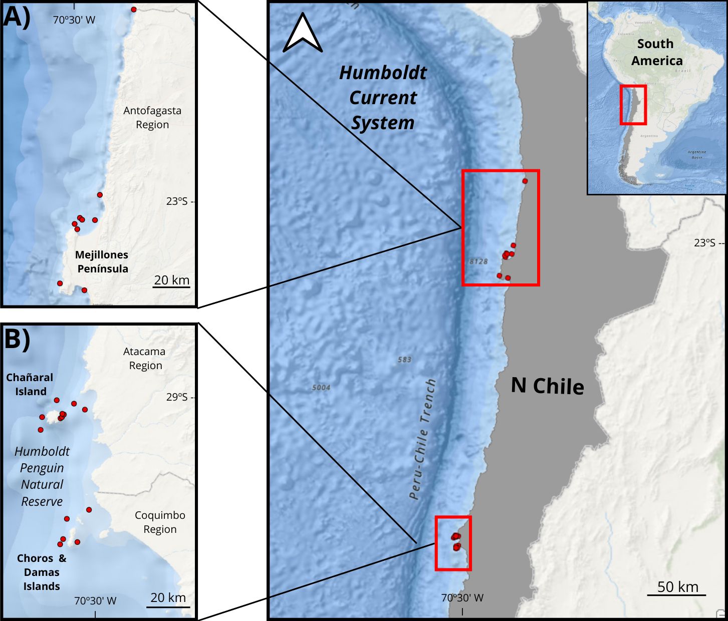 Map of northern Chile indicating two locations of orca sightings