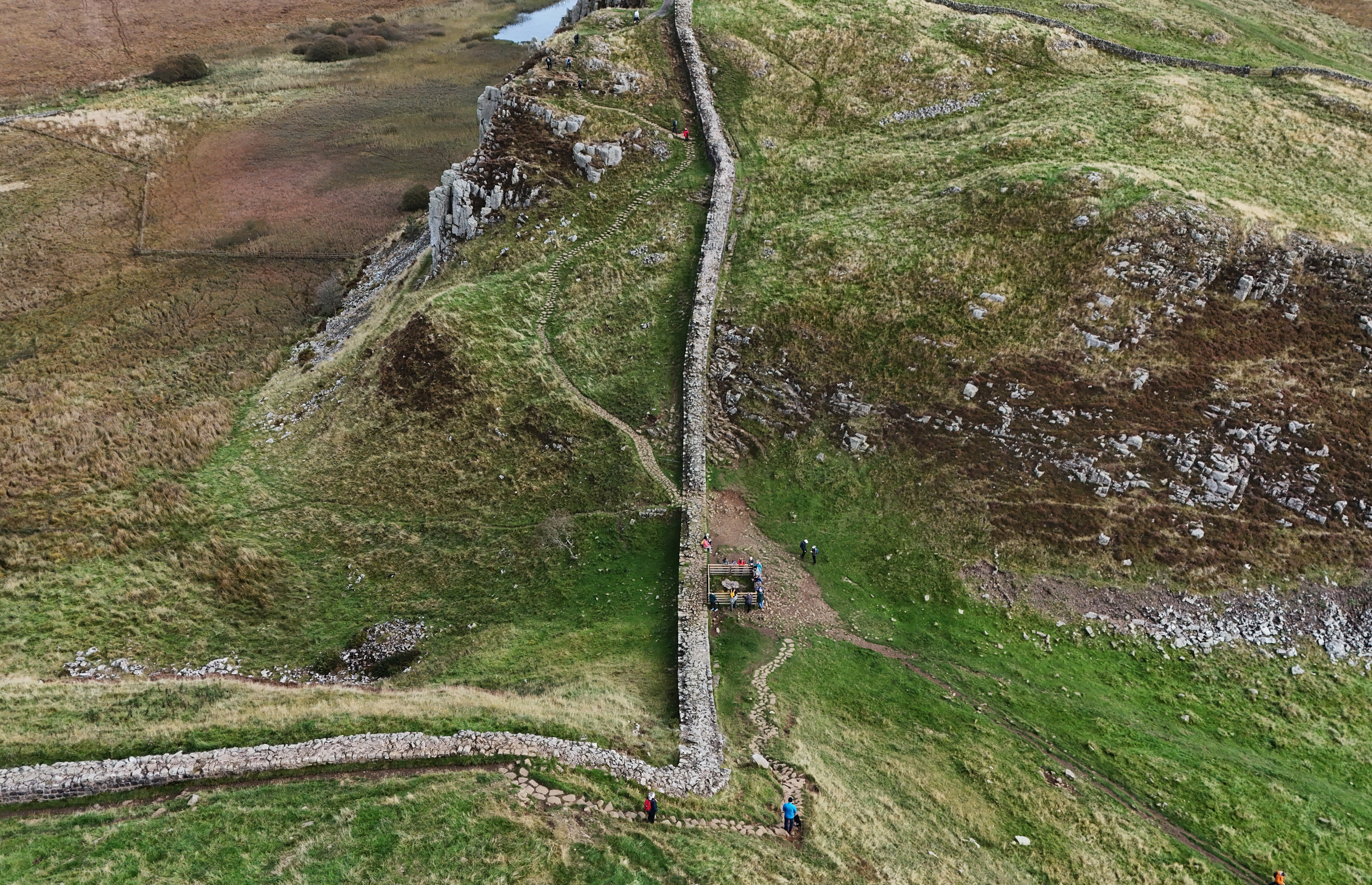 The Sycamore Gap tree was planted as a landscape feature in a dell along Hadrian’s Wall 150 years ago