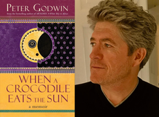 Book of a lifetime: When a Crocodile Eats the Sun by Peter Godwin