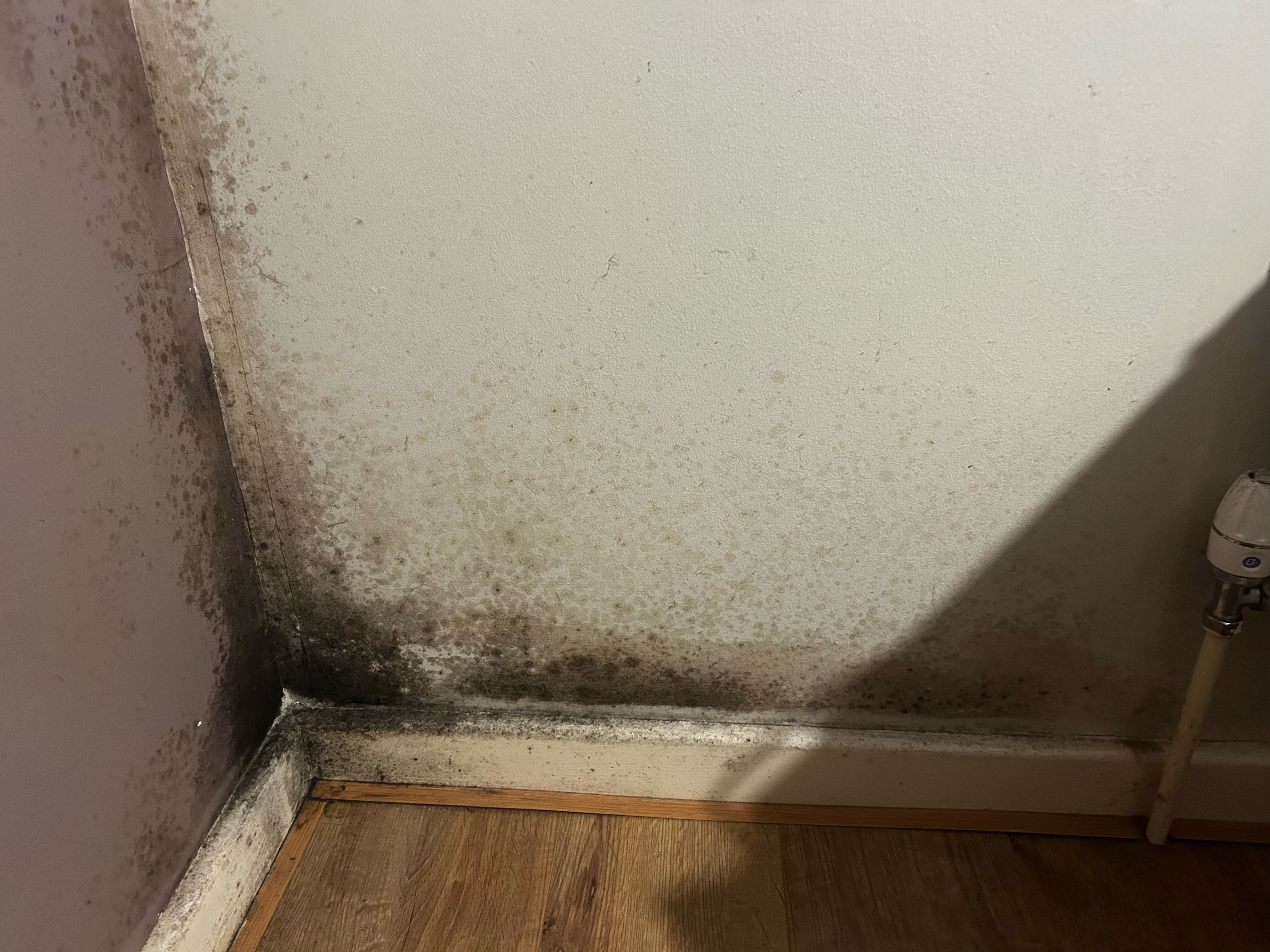 Black mould is growing in the Iyinolakan’s daugther’s room