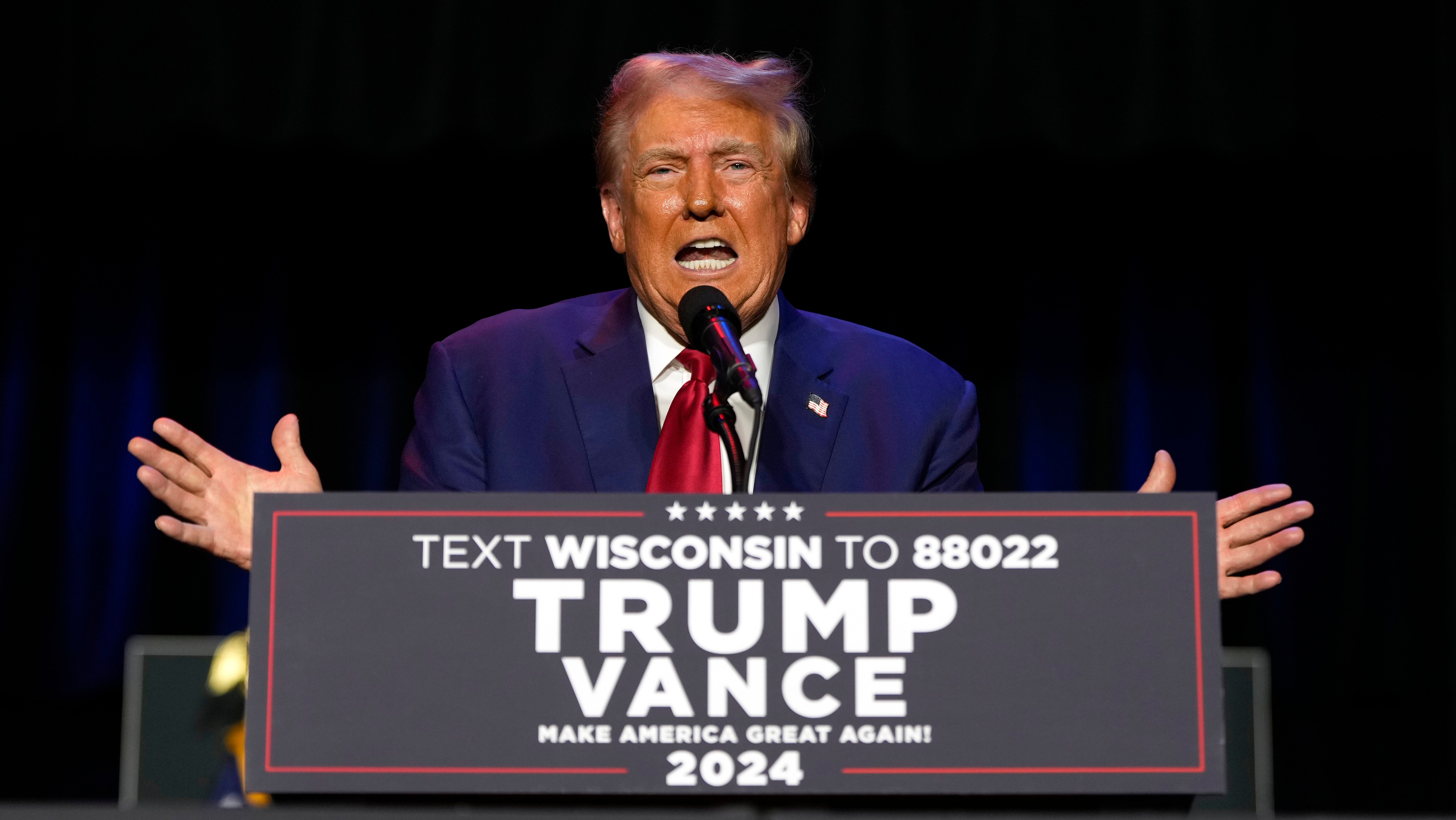 Trump seemed to get distracted by a fly during a rally speech on Saturday.