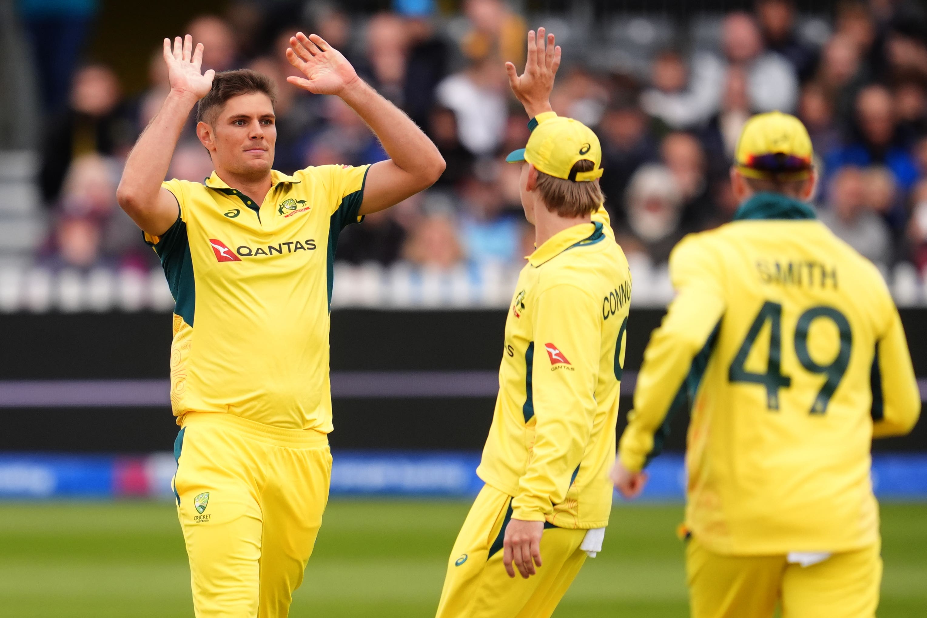 Aaron Hardie, left, celebrates a wicket for Australia