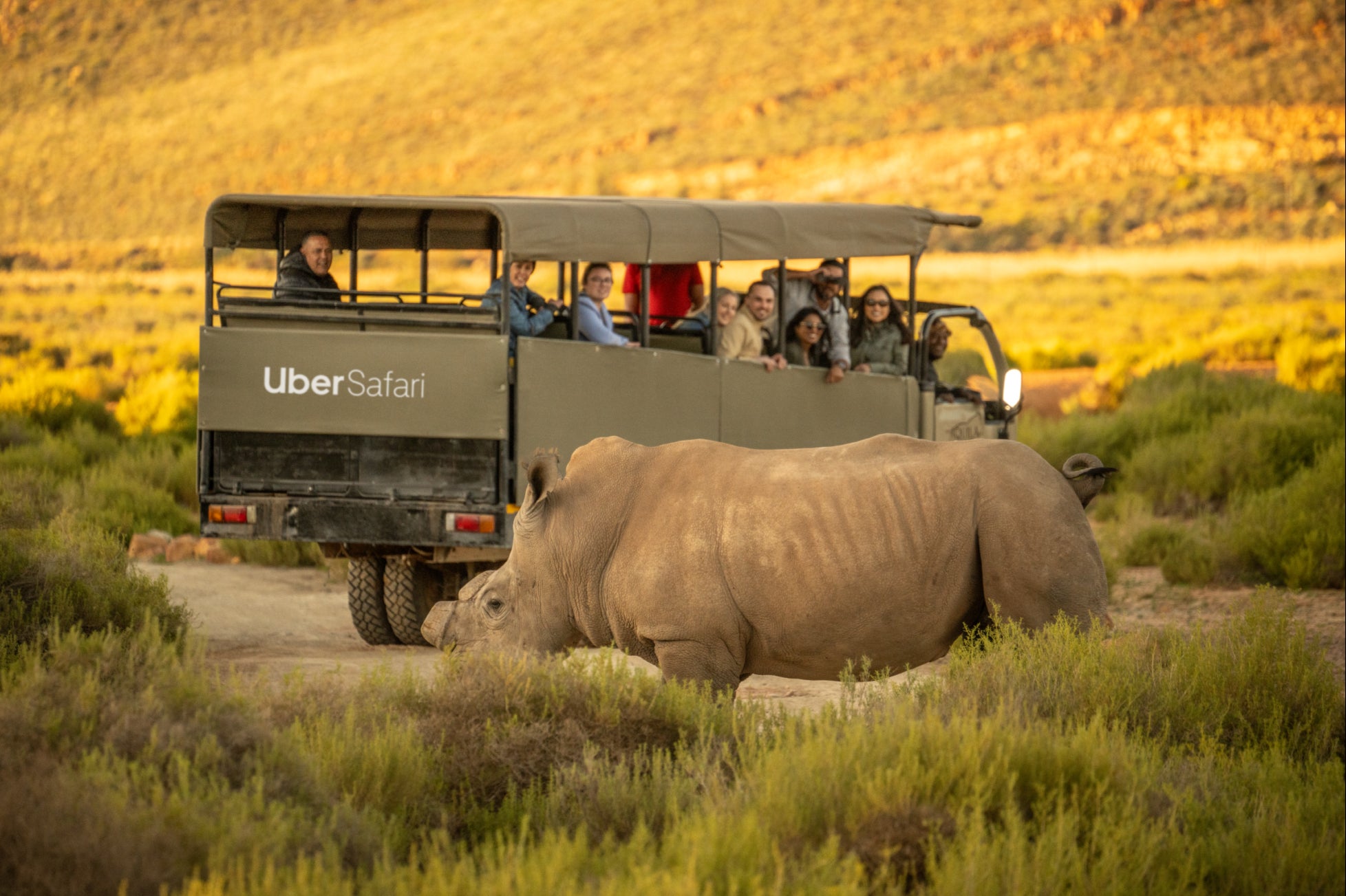 Uber Safari will offer passengers the chance to see the ‘big five’ animals