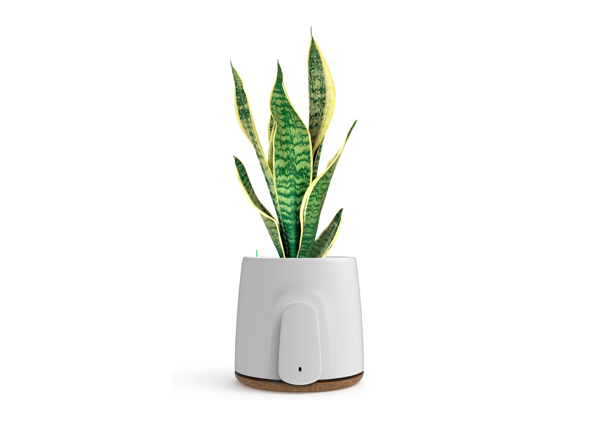 Vitesy Natede, best air purifiers