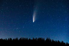 How to see the ‘comet of the century’ this week