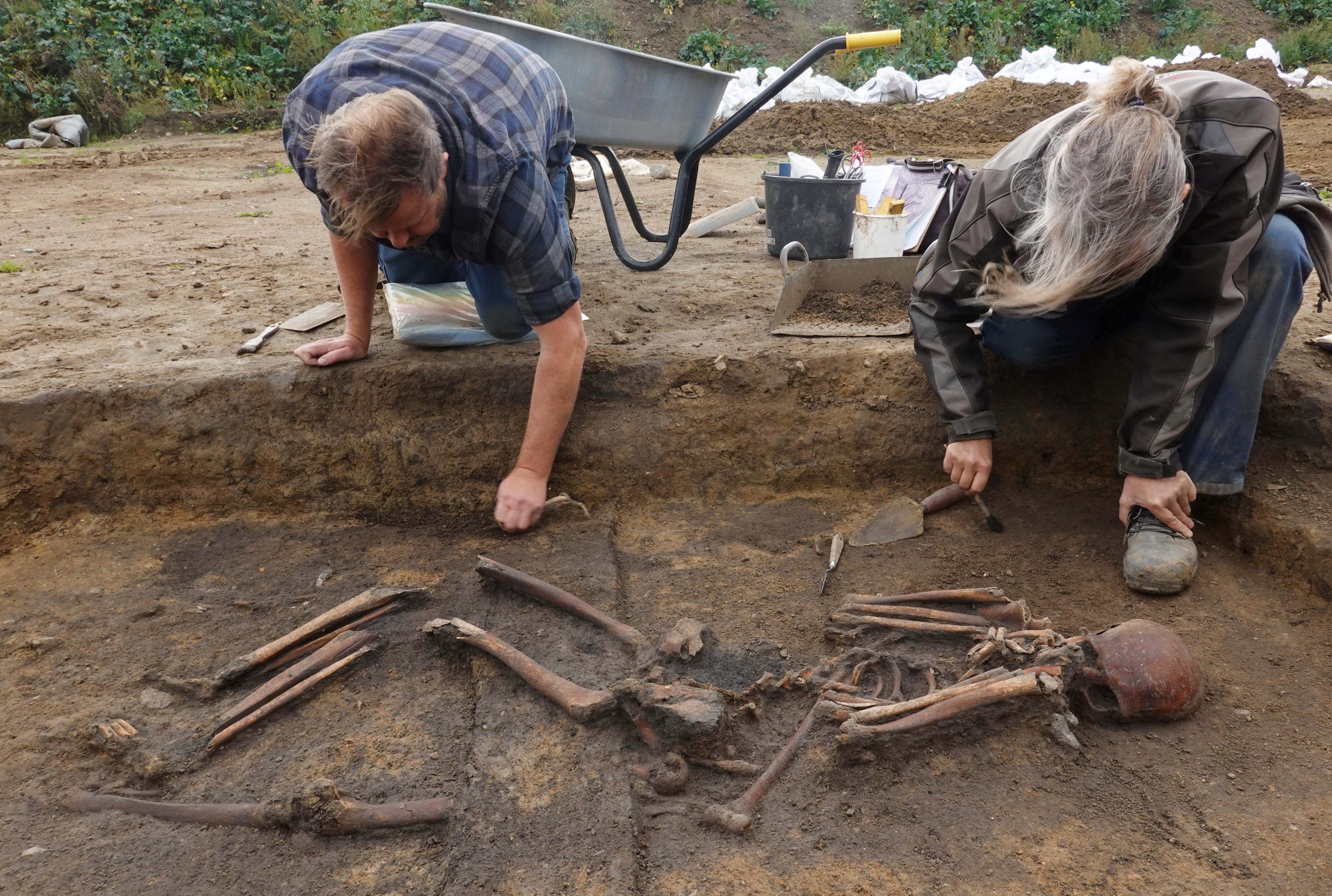 Archaeologists excavate skeletons in a pit at the Viking-age burial site in the village of Aasum, Denmark