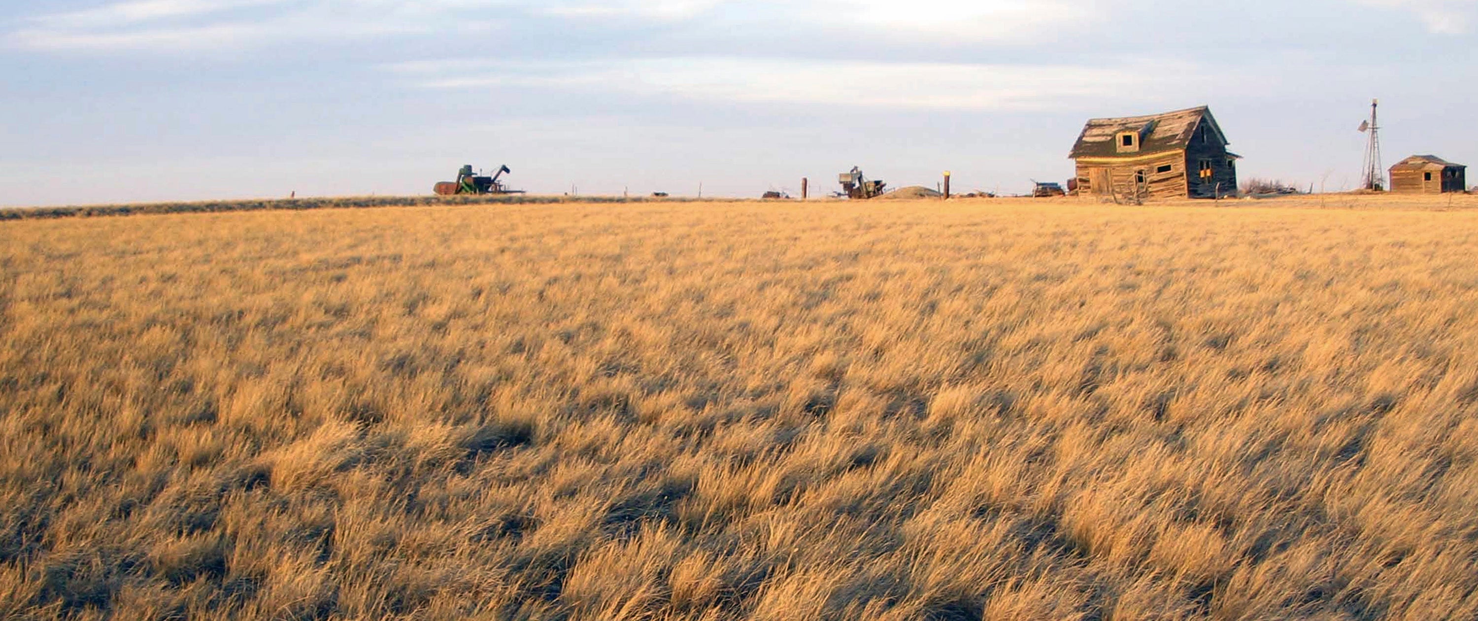 Election 2024 Native Americans