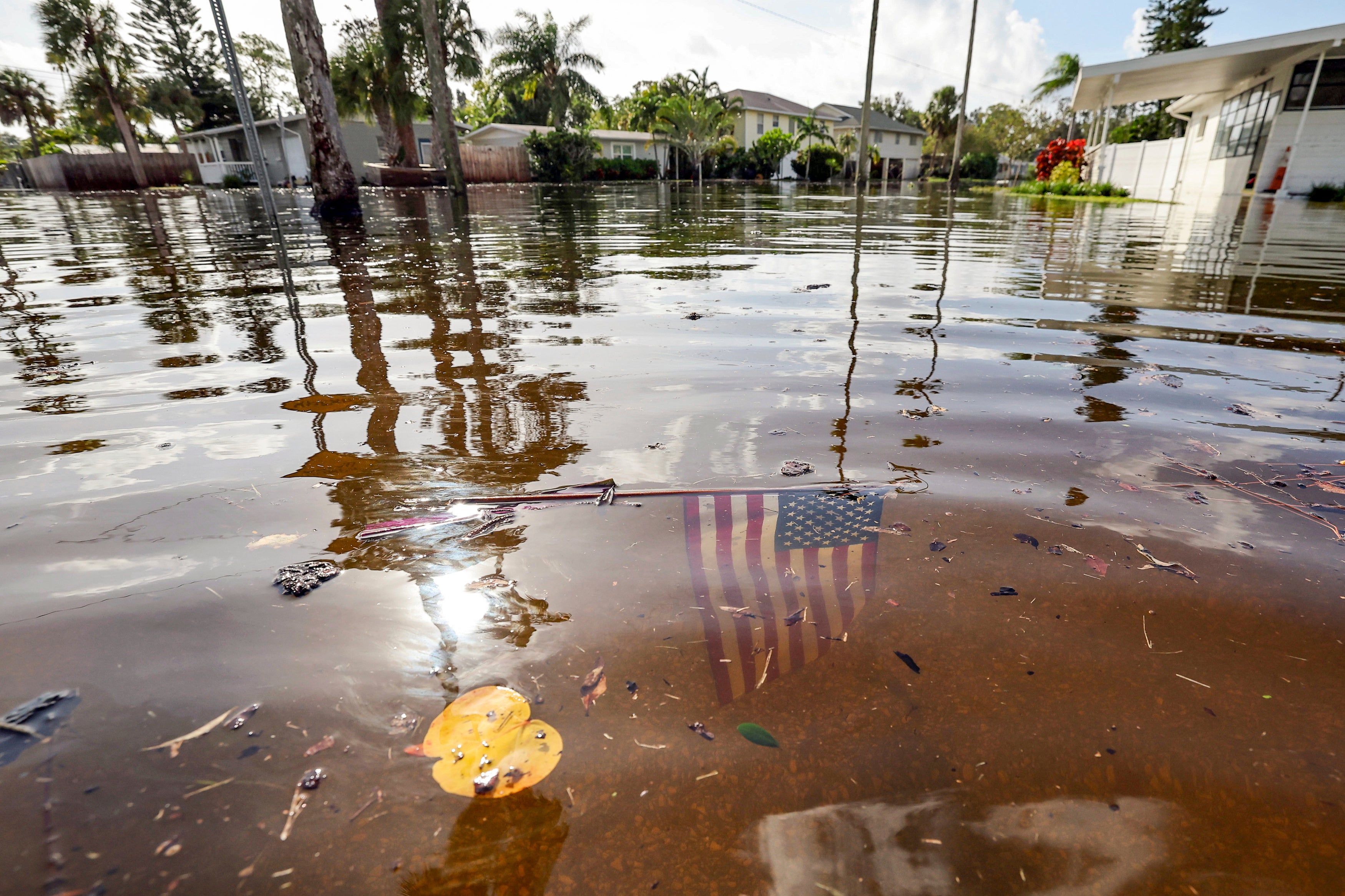 Hurricane Helene has left a trail of destruction in its wake (pictured the aftermath of Helene in St Petersburg, Florida)