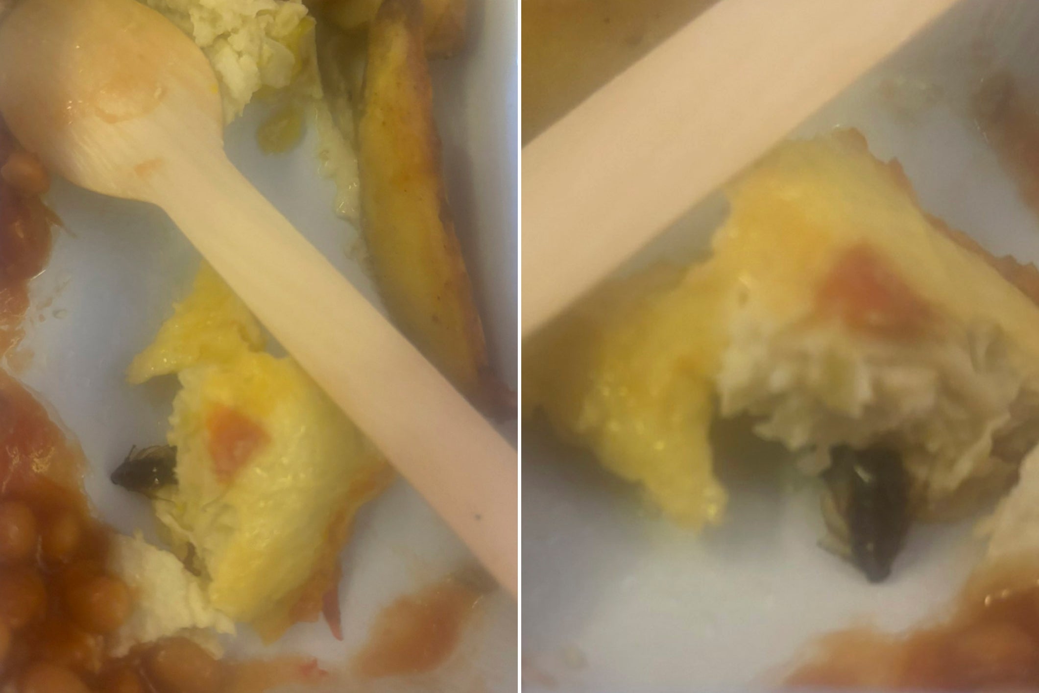 The woman shared the in-flight meal with her toddler, only to find a cockroach after almost finishing it